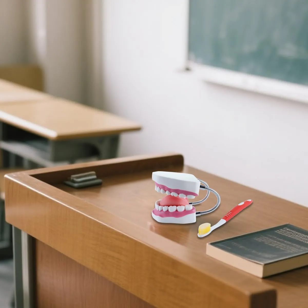 Orivin Modello di denti della bocca 6 volte più grande con lingua mobile e supporto pieghevole, colori realistici per il trattamento della pratica educativa odontoiatrica - immagine 6