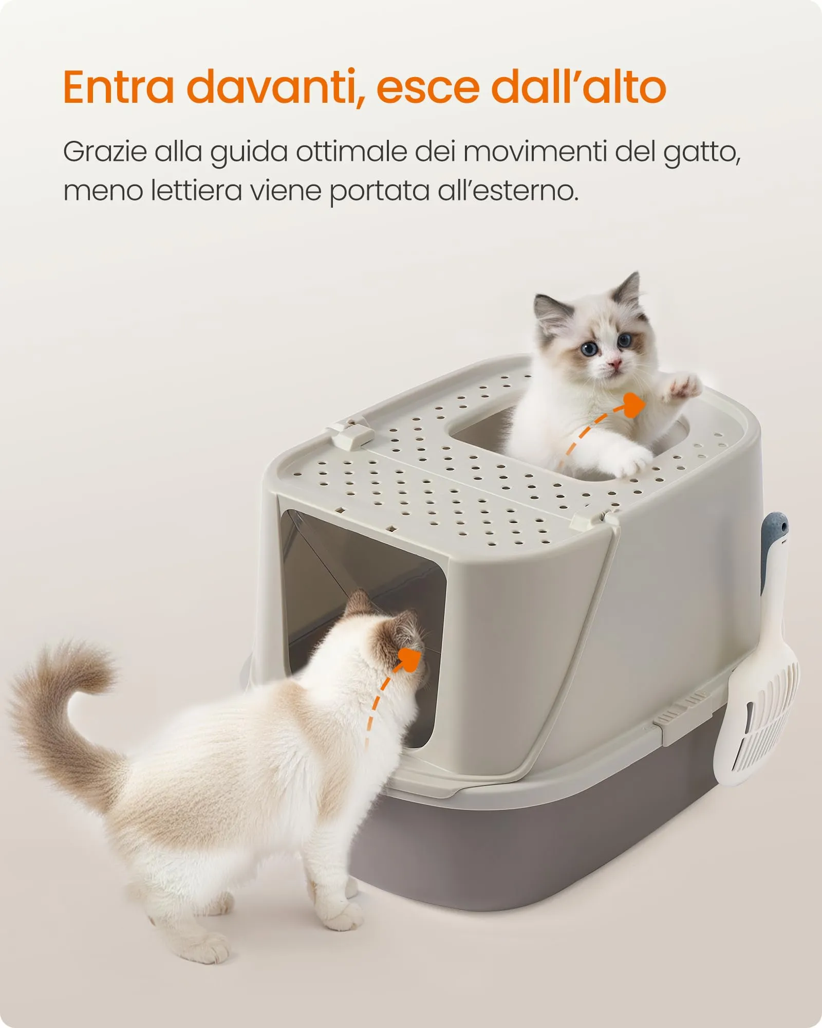 Feandrea Lettiera per Gatti XXL, Toilette per Gatti fino a 15 kg - immagine 6