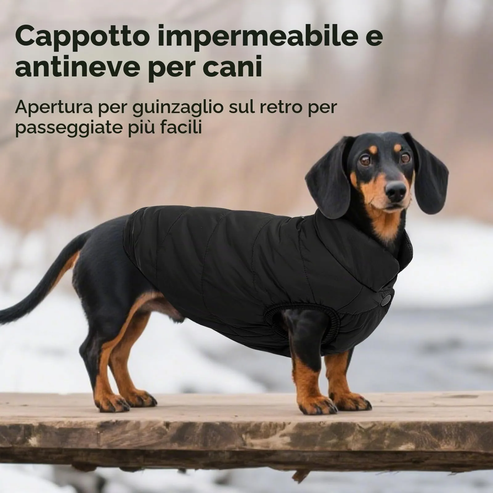 ASENKU Cappotto Inverno per Cane Taglia Piccola S, Impermeabile & Pile Artica, Bottoni Ventre e Apertura Guinzaglio, Giacca Cane Invernale per Yorkshire Bichon, Uscite Ricreative Invernali Fuori Casa - immagine 5