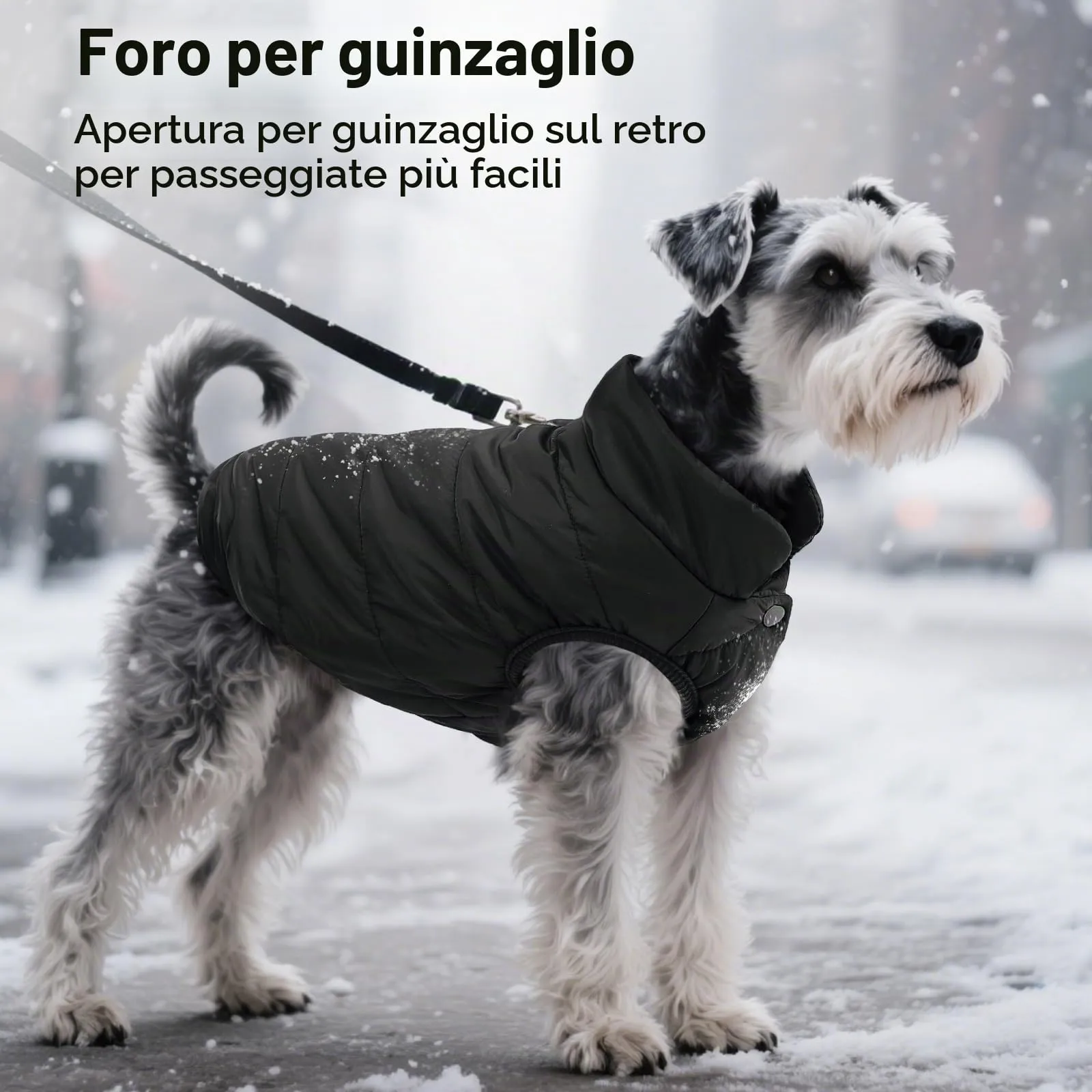 ASENKU Cappotto Inverno per Cane Taglia Piccola S, Impermeabile & Pile Artica, Bottoni Ventre e Apertura Guinzaglio, Giacca Cane Invernale per Yorkshire Bichon, Uscite Ricreative Invernali Fuori Casa - immagine 6