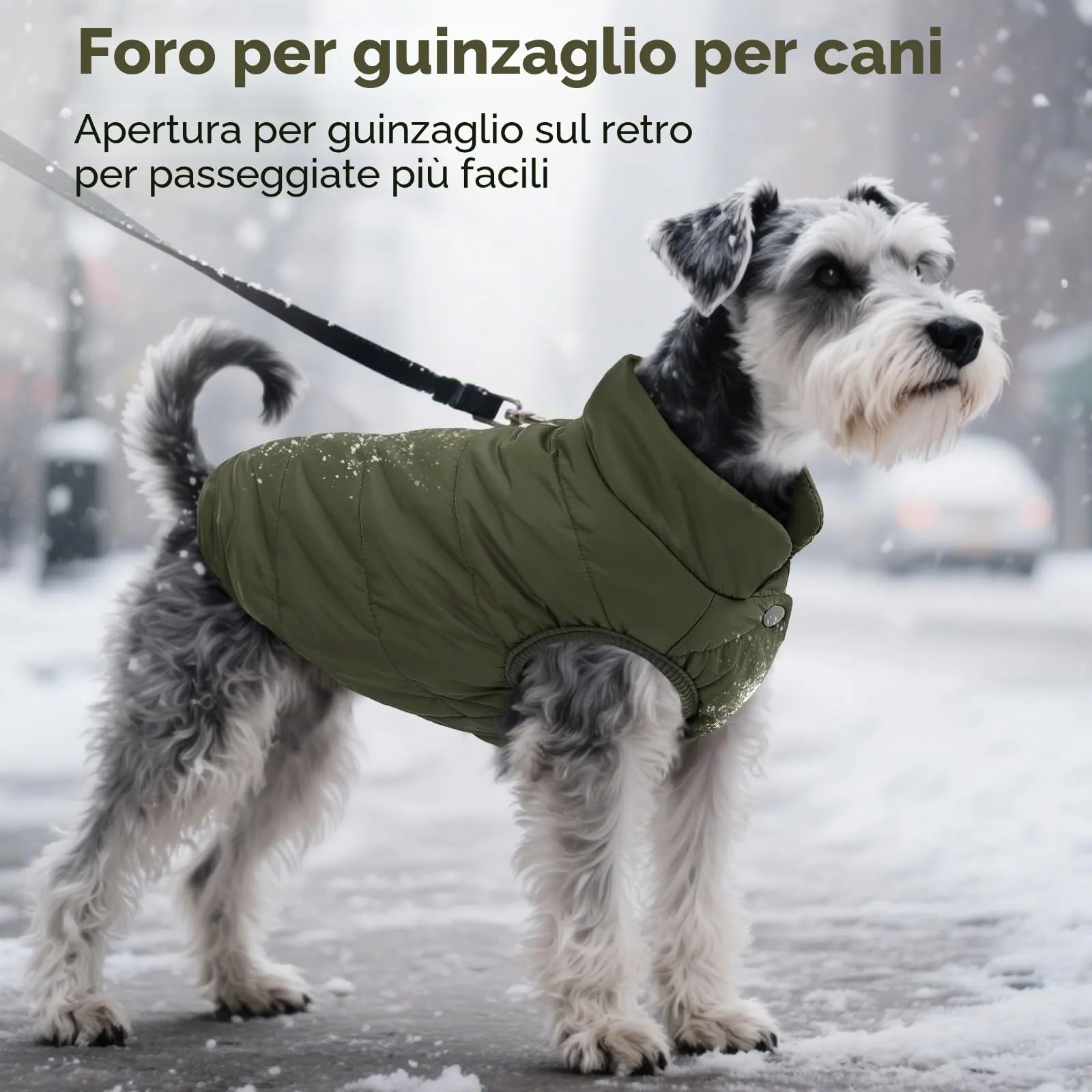 ASENKU Cappotto Inverno per Cane Taglia Piccola S, Impermeabile & Pile Artica, Bottoni Ventre e Apertura Guinzaglio, Giacca Cane Invernale per Yorkshire Bichon, Uscite Ricreative Invernali Fuori Casa - immagine 6