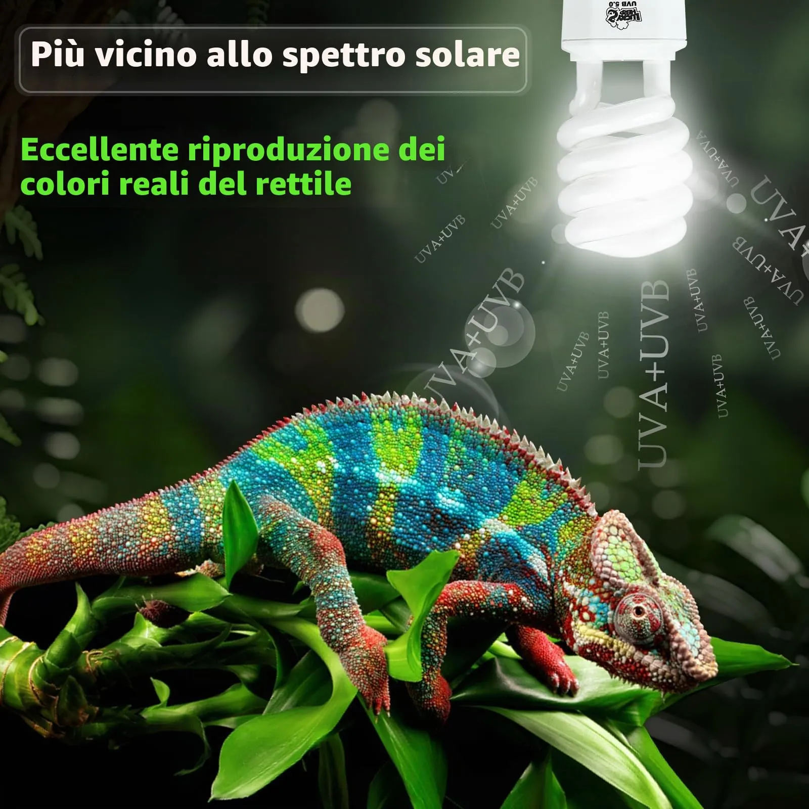 LUCKY HERP Lampadina UVA UVB per Rettili, Lampada UVB Tartaruga Terrestre 23W 5.0, Lampada Fluorescente Compatta per Rettili Draghi Barbuti. - immagine 2