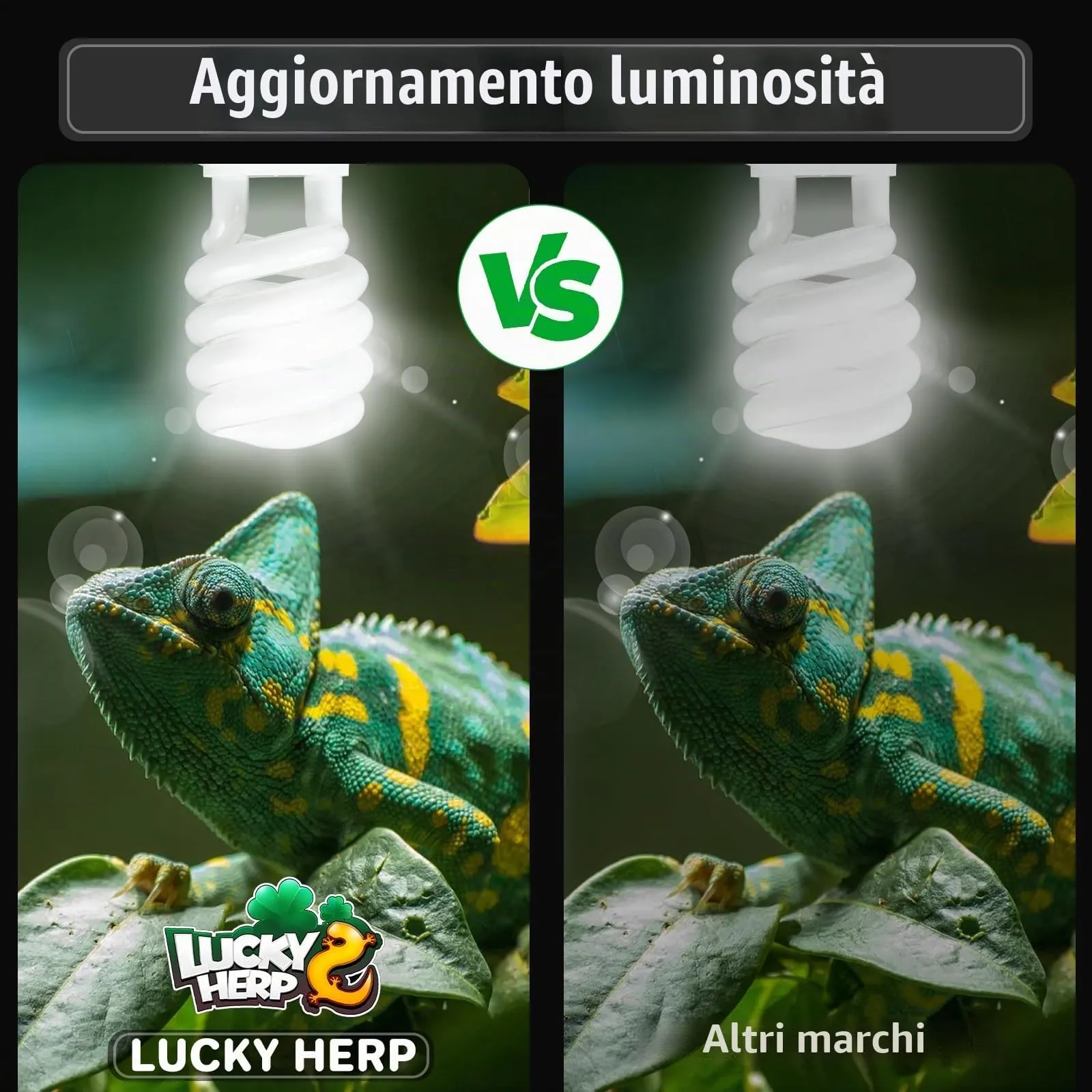 LUCKY HERP Lampadina UVA UVB per Rettili, Lampada UVB Tartaruga Terrestre 23W 5.0, Lampada Fluorescente Compatta per Rettili Draghi Barbuti. - immagine 3