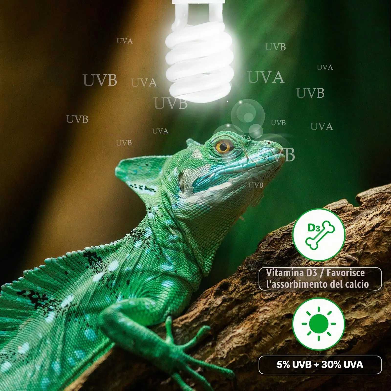 LUCKY HERP Lampadina UVA UVB per Rettili, Lampada UVB Tartaruga Terrestre 23W 5.0, Lampada Fluorescente Compatta per Rettili Draghi Barbuti. - immagine 6