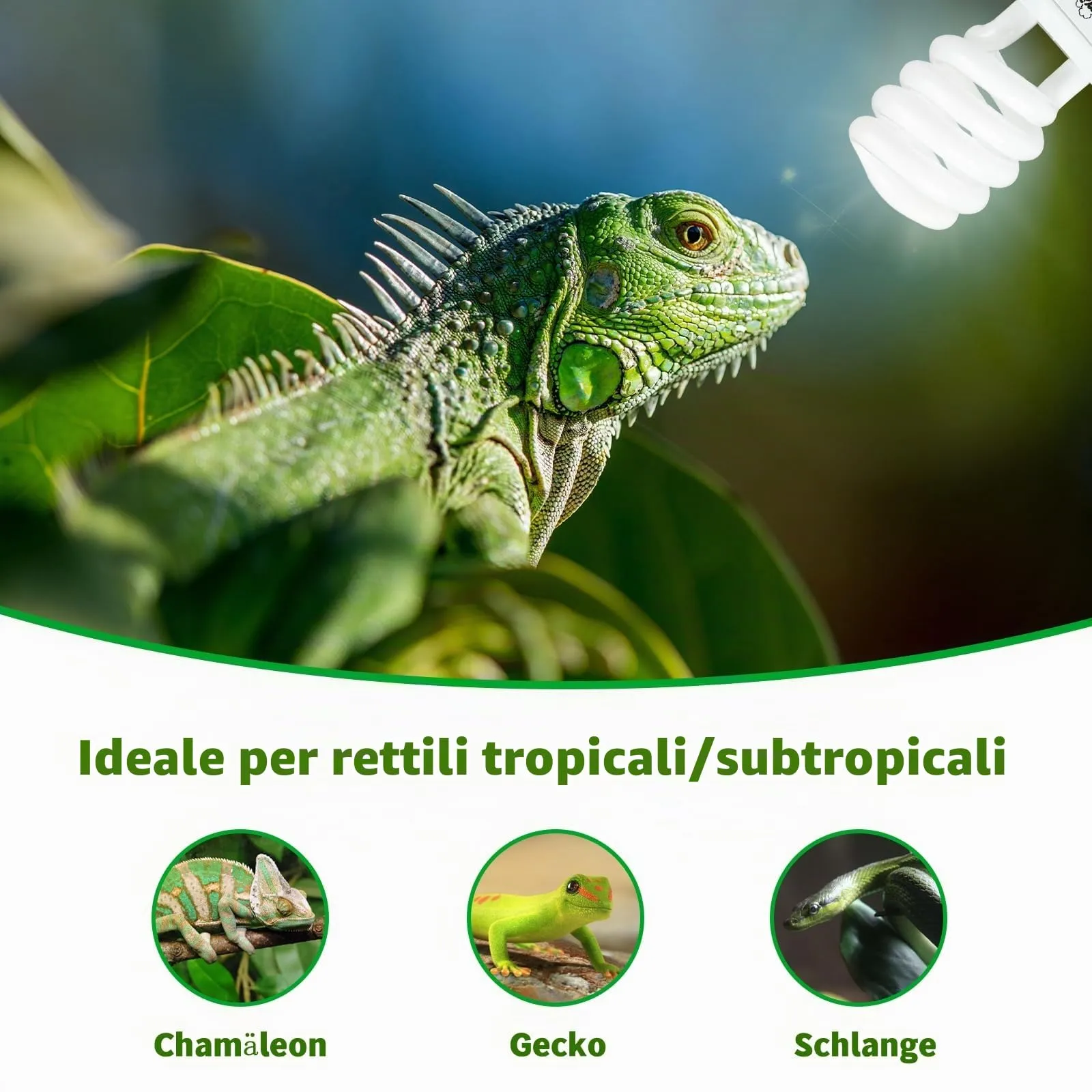 LUCKY HERP Lampadina UVA UVB per Rettili, Lampada UVB Tartaruga Terrestre 23W 5.0, Lampada Fluorescente Compatta per Rettili Draghi Barbuti. - immagine 7