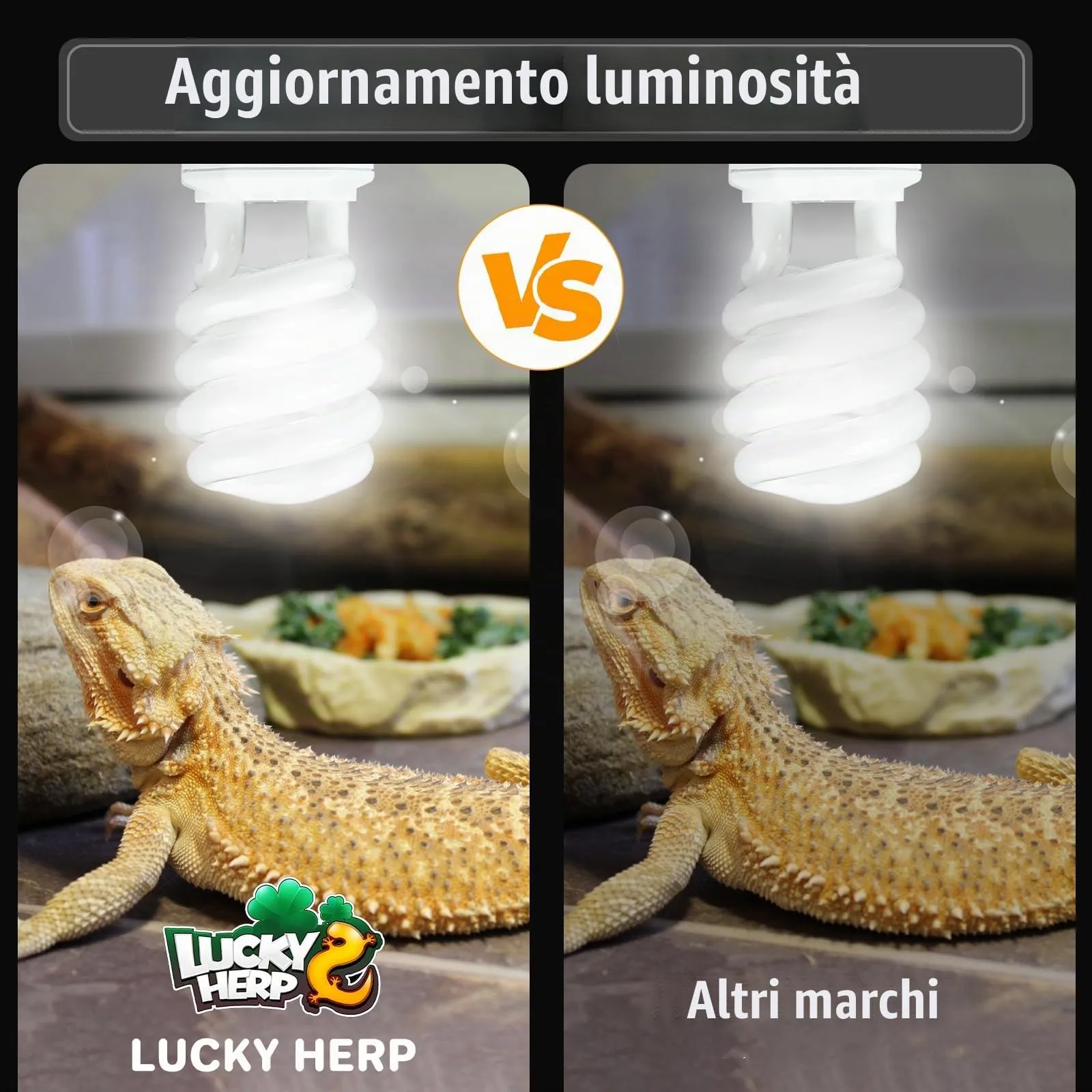 LUCKY HERP Lampadina UVA UVB per Rettili, Lampada UVB Tartaruga Terrestre 23W 10.0, Lampada Fluorescente Compatta per Rettili Draghi Barbuti. - immagine 3