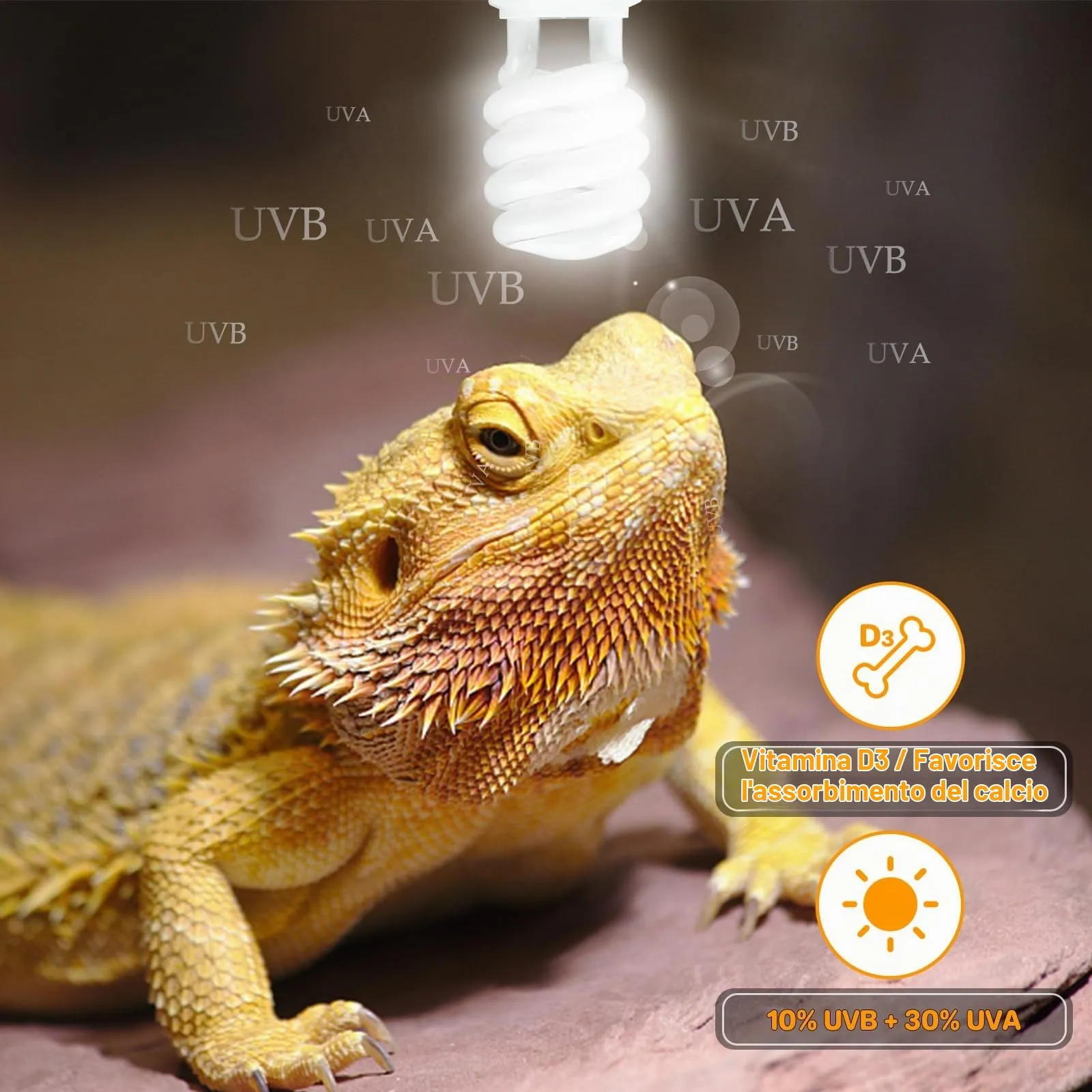 LUCKY HERP Lampadina UVA UVB per Rettili, Lampada UVB Tartaruga Terrestre 23W 10.0, Lampada Fluorescente Compatta per Rettili Draghi Barbuti. - immagine 5