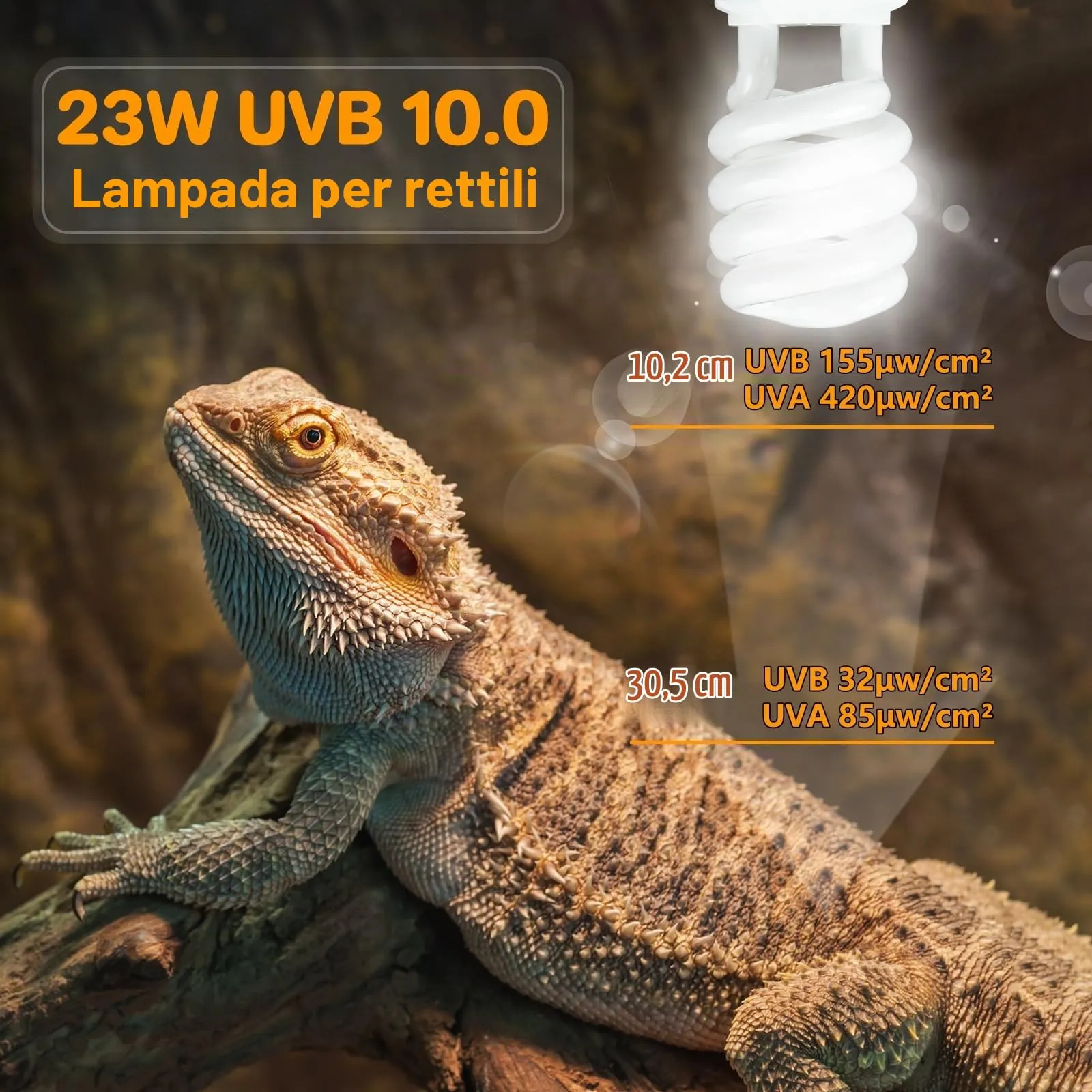 LUCKY HERP Lampadina UVA UVB per Rettili, Lampada UVB Tartaruga Terrestre 23W 10.0, Lampada Fluorescente Compatta per Rettili Draghi Barbuti. - immagine 6