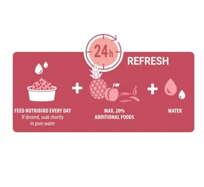 Versele-Laga NutriBird G14 Tropical | 1 kg | Alimento di mantenimento per grandi parrocchetti | Per il supporto del benessere e della digestione | Pellet estrusi | Consigliato dai veterinari - immagine 3