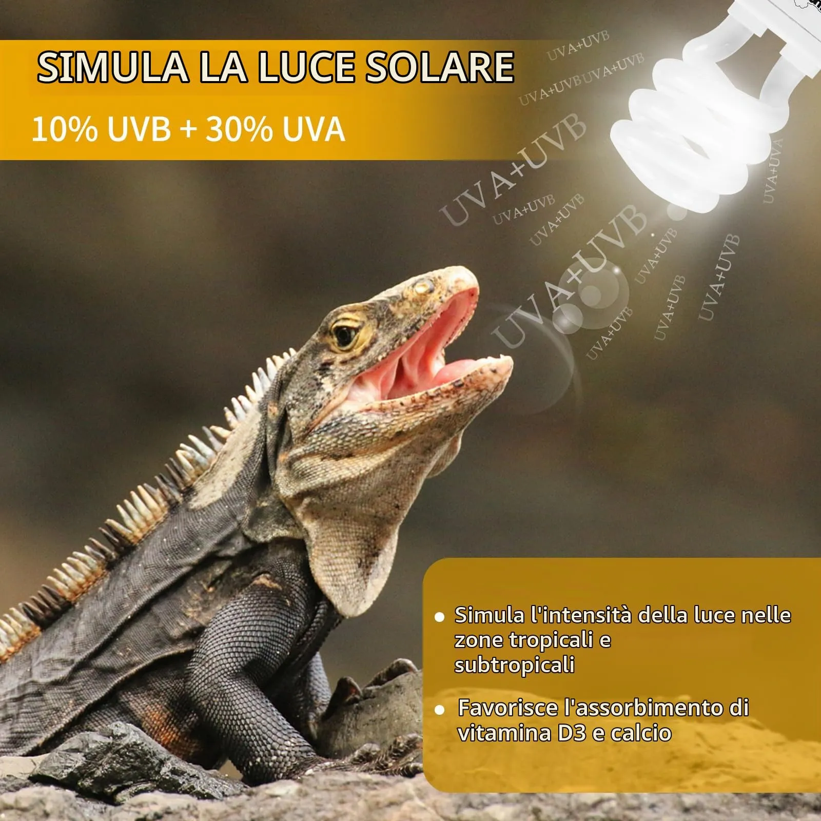 LUCKY HERP Lampada UVB per terrario, lampada per rettili, UVA UVB 10.0, E27, lampada compatta UVB 13 W, lampada da terrario UVA UVB per atlami da barba, tartarughe, serpenti, lucertole, rettili e - immagine 5