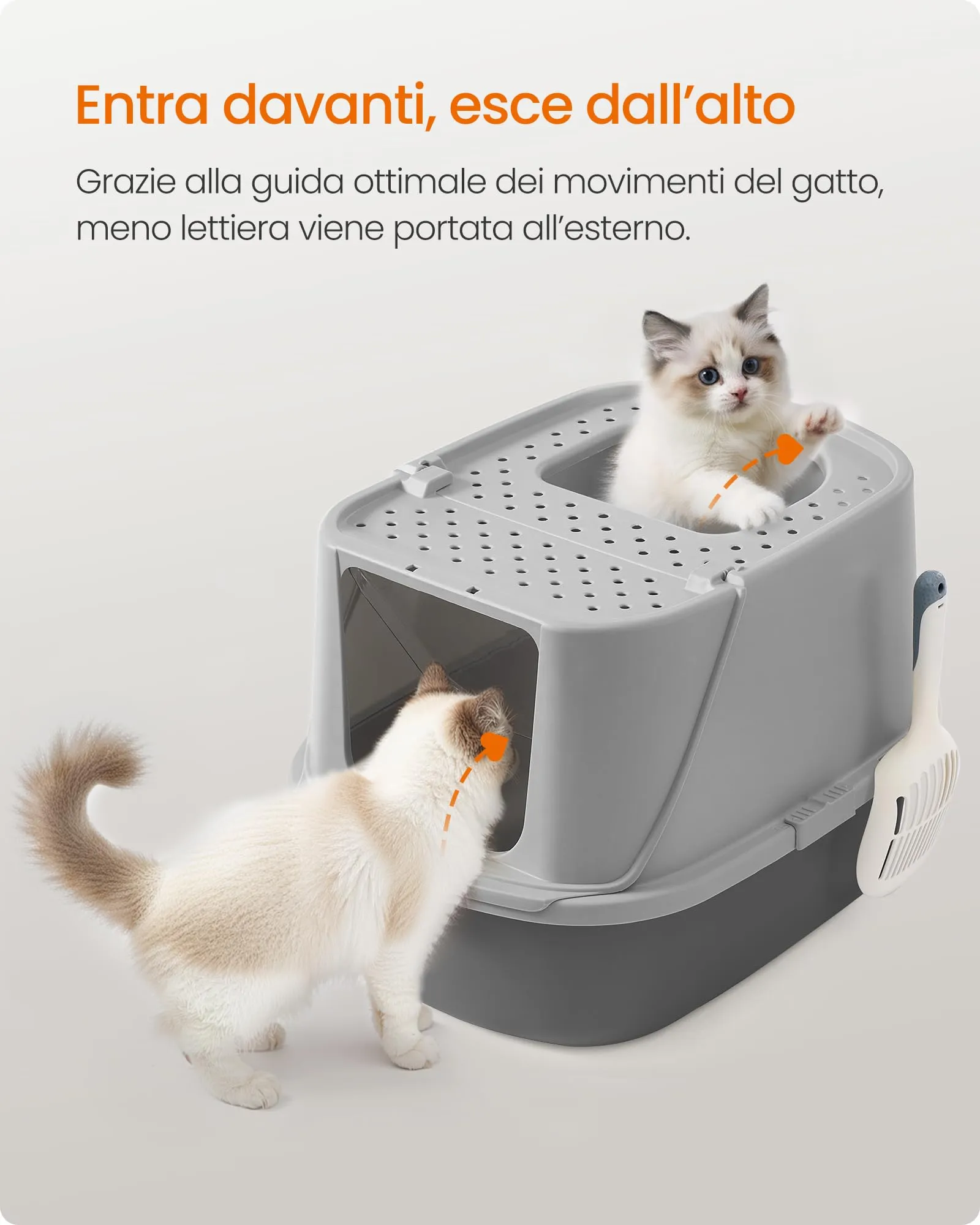 Feandrea Lettiera per Gatti XXL, Toilette per Gatti fino a 15 kg - immagine 6