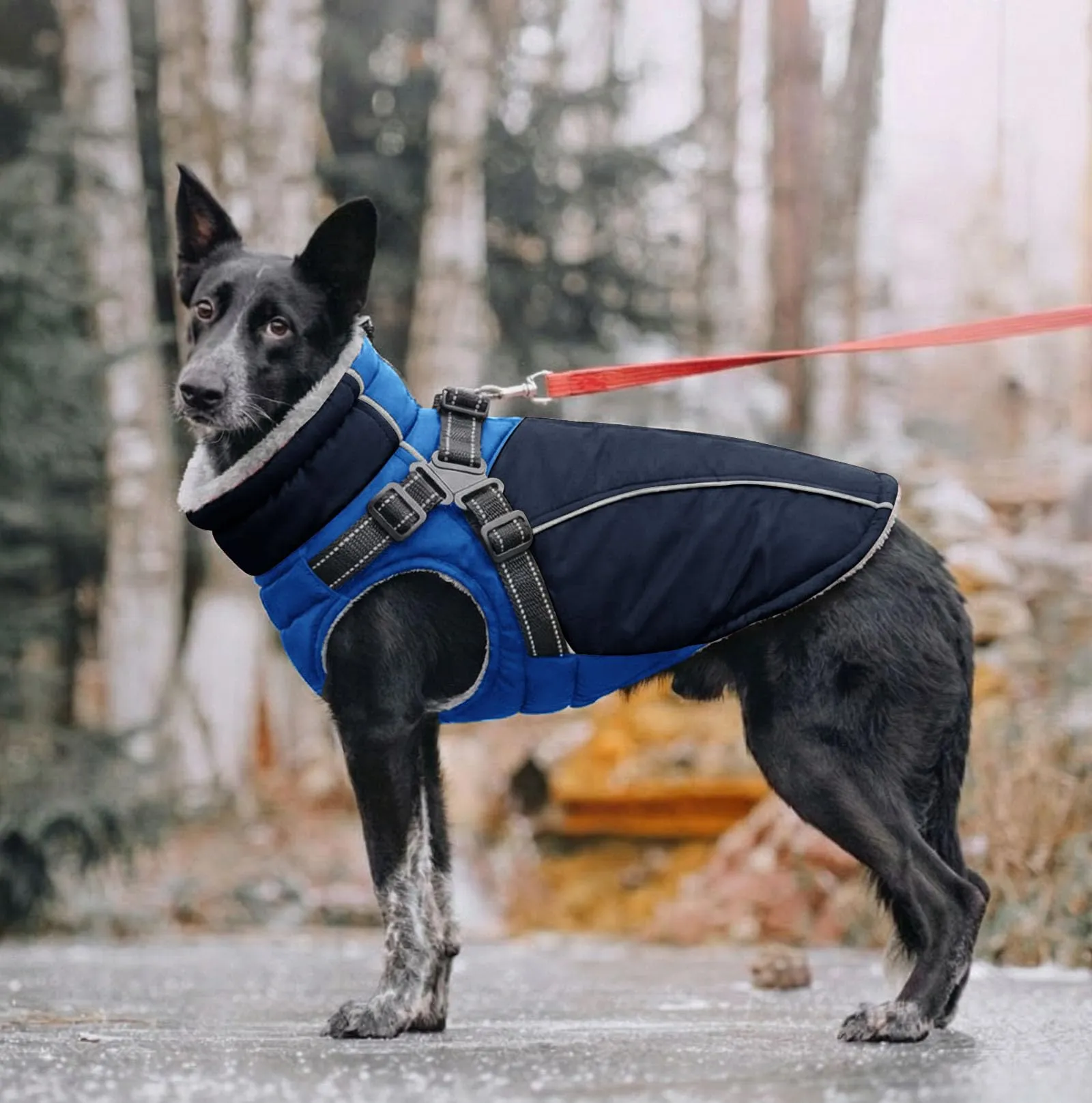 KONVINIT Cappottino Cane Media Giacca Invernale con Pettorina Integrata - immagine 7