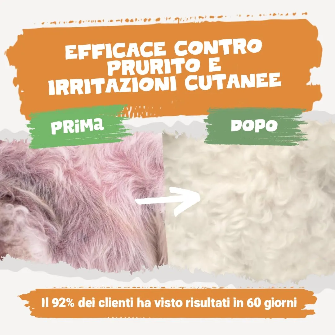 Pets Purest Olio di salmone per cani e gatti 1000 ml – Olio di salmone norvegese puro con Omega 3-6-9 e vitamina E – Supporta pelle, pelliccia, articolazioni e sistema immunitario – 100% naturale - immagine 2