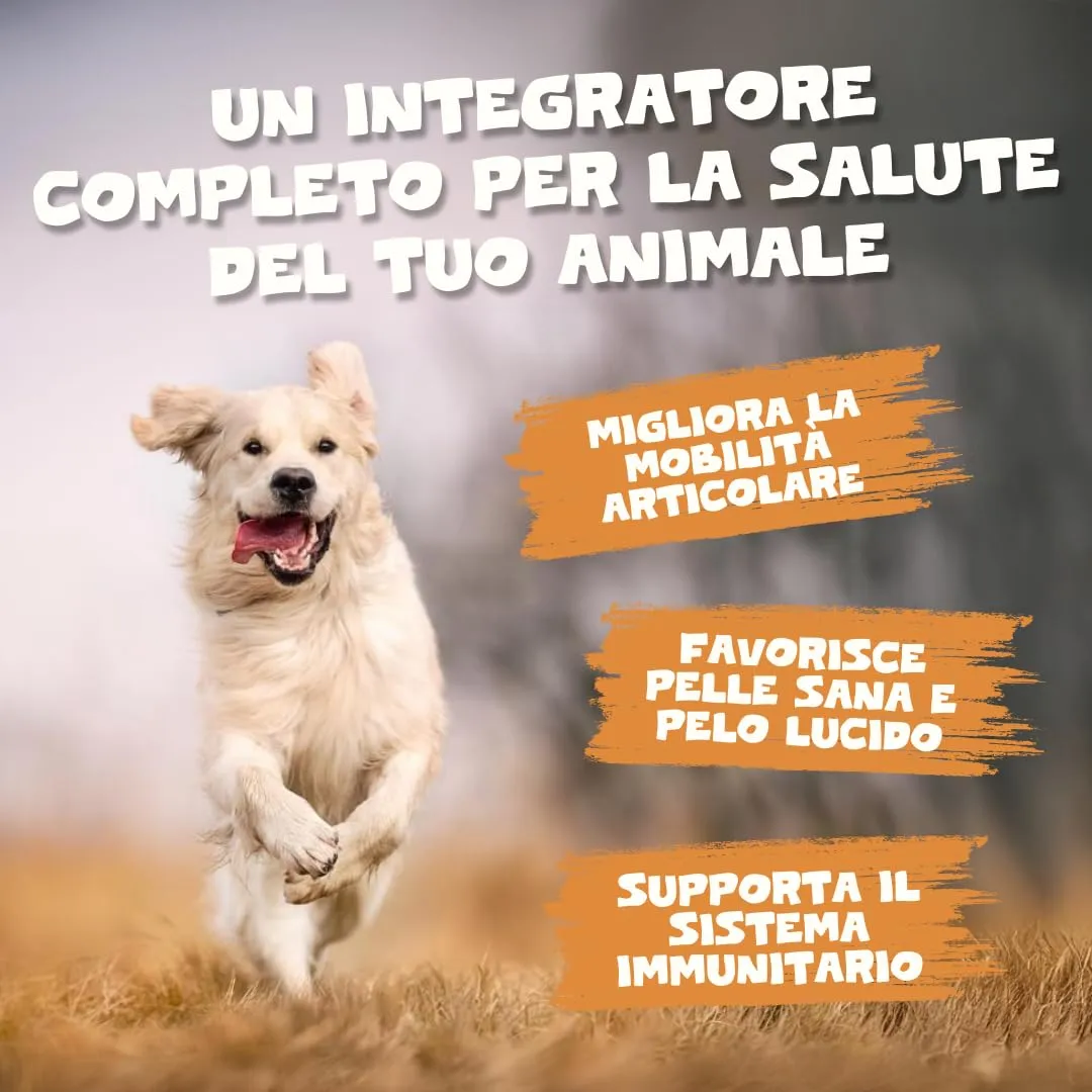 Pets Purest Olio di salmone per cani e gatti 1000 ml – Olio di salmone norvegese puro con Omega 3-6-9 e vitamina E – Supporta pelle, pelliccia, articolazioni e sistema immunitario – 100% naturale - immagine 3