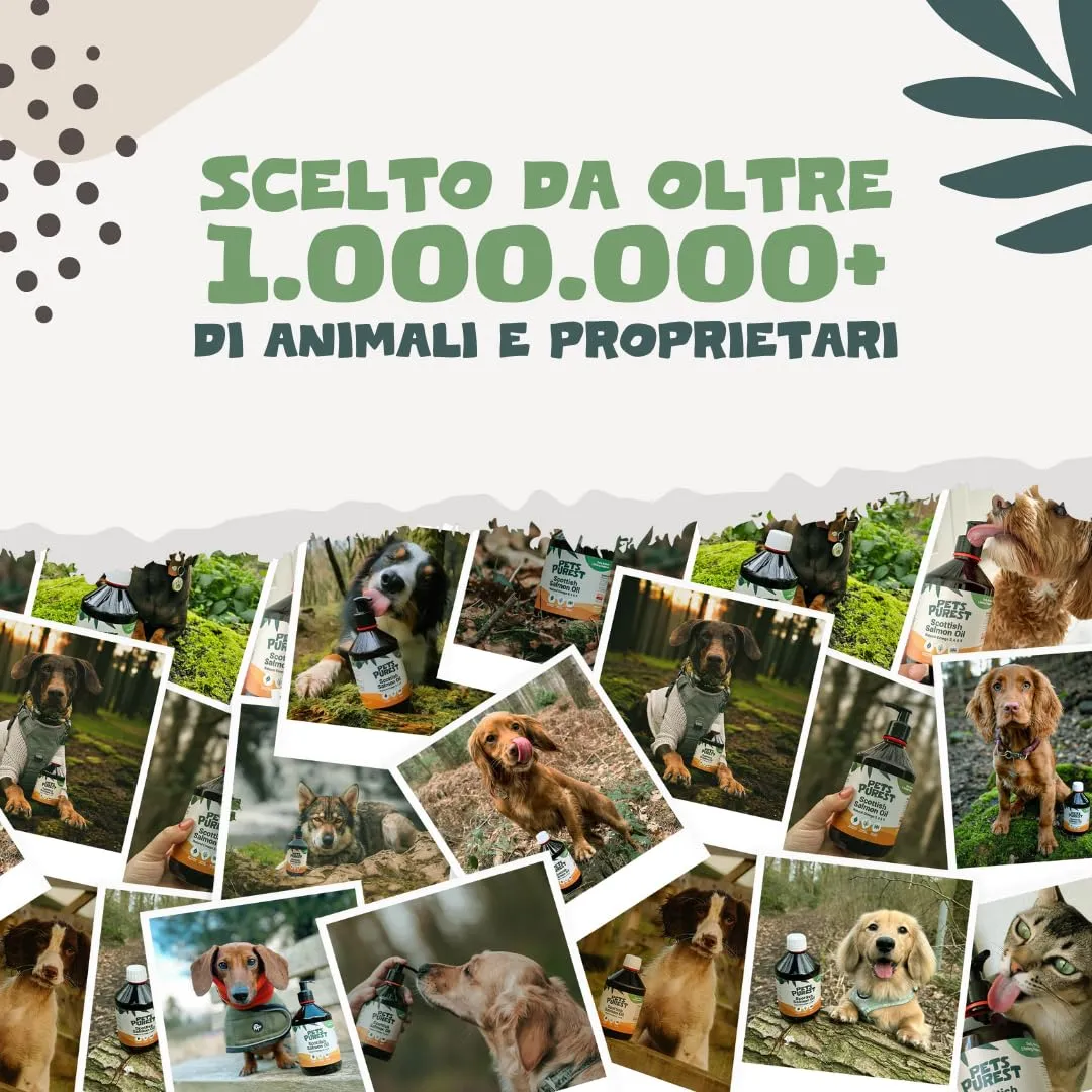 Pets Purest Olio di salmone per cani e gatti 1000 ml – Olio di salmone norvegese puro con Omega 3-6-9 e vitamina E – Supporta pelle, pelliccia, articolazioni e sistema immunitario – 100% naturale - immagine 8