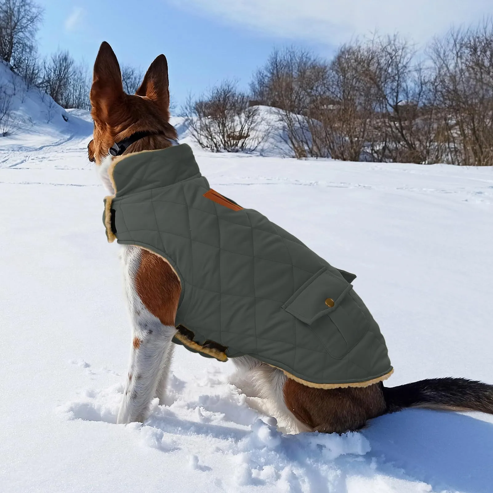 CITÉTOILE Gilet Termico Invernale per Cani in Lana Spessa Grigio S - immagine 6