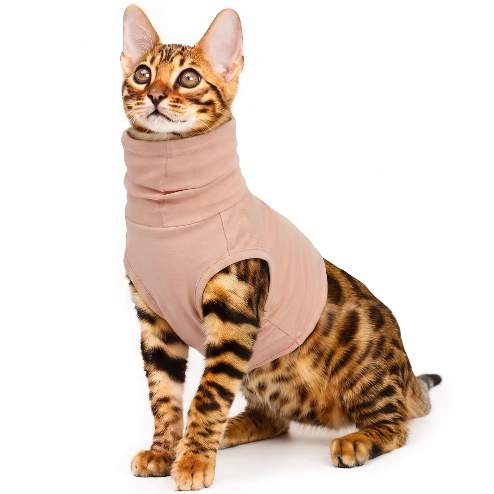 PUMYPOREITY Fascia per ematoma auricolare, per cani e gatti (rosa pelle, XS) - immagine 1