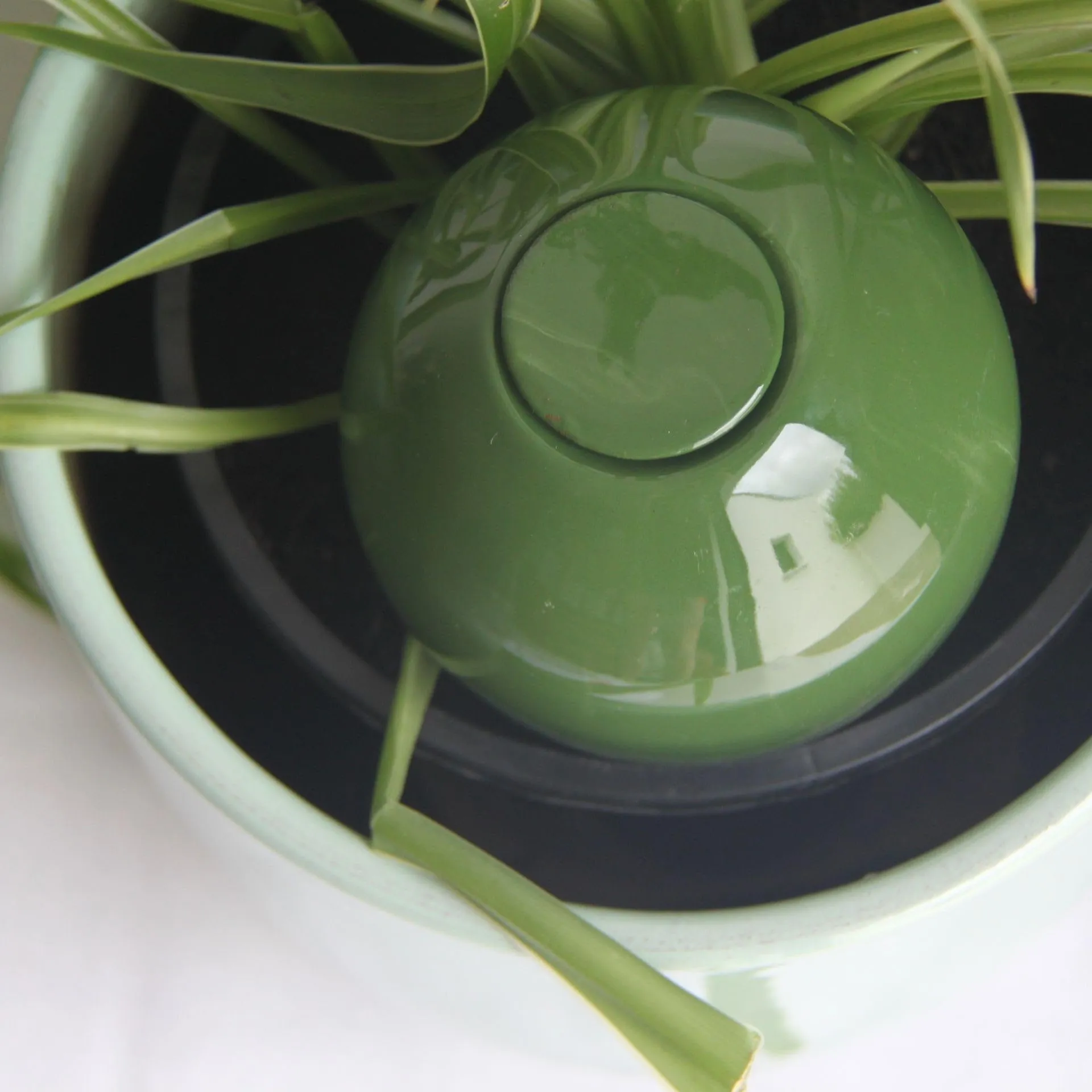 Ollas Lutton Mini Olla Terracotta 25cl | Produzione Francese | Irrigazione automatica ecologica | Irrigazione naturale per Piante Interne ed Esterne | Autonomia 2 Giorni | Olla Verde - immagine 6