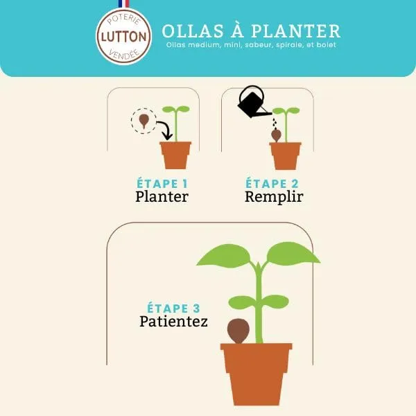 Ollas Lutton Mini Olla Terracotta 25cl | Produzione Francese | Irrigazione automatica ecologica | Irrigazione naturale per Piante Interne ed Esterne | Autonomia 2 Giorni | Olla Verde - immagine 8