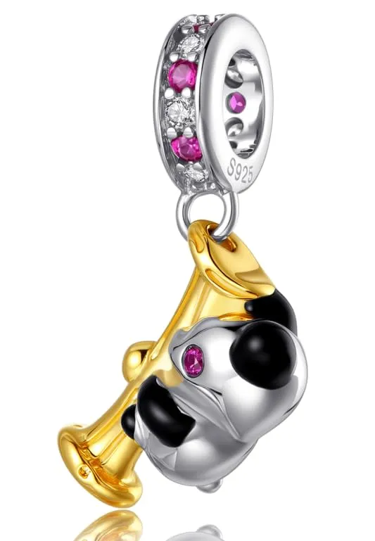 XWN Ciondolo Argento Sterling 925 con Cubic Zirconia Pendenti per Pandora Braccialetti, Compatibile con Braccialetti e Collane europei, perfetto Regali per Moglie e Ragazze - immagine 1