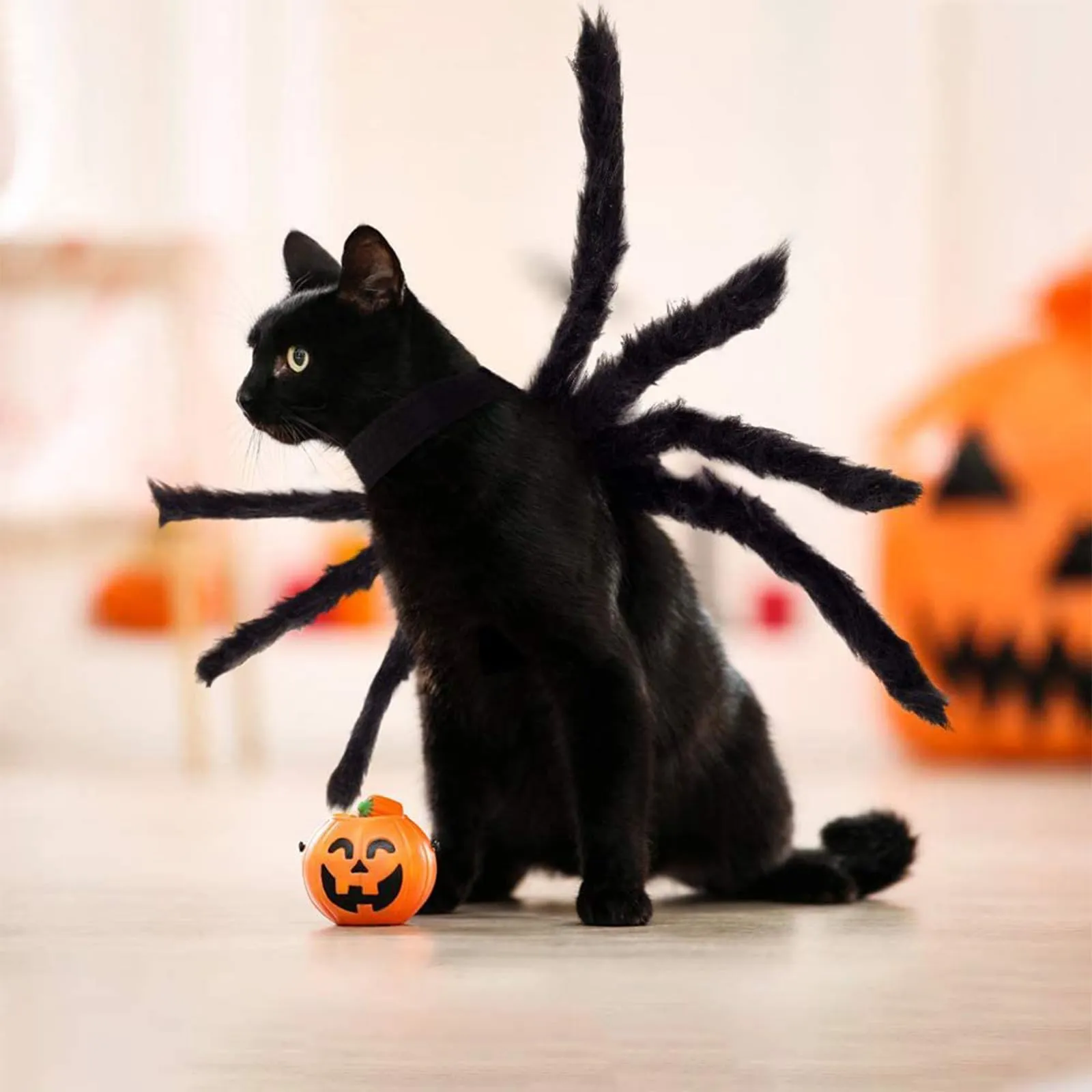 Xbessc Costume da Ragno per Cane Gatto Nero Costume da Ragno di Furry Scary - immagine 3