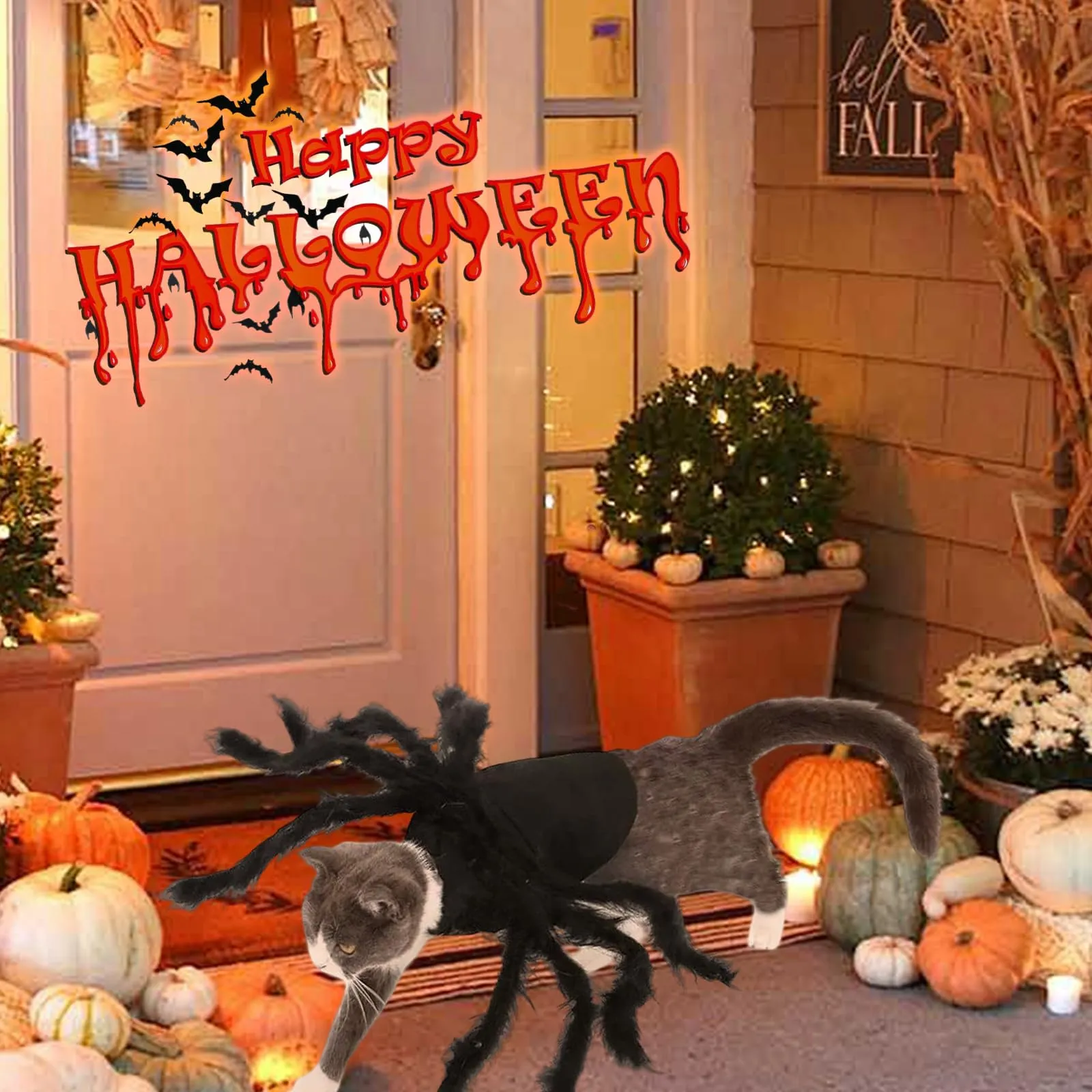 Xbessc Costume da Ragno per Cane Gatto Nero Costume da Ragno di Furry Scary - immagine 7
