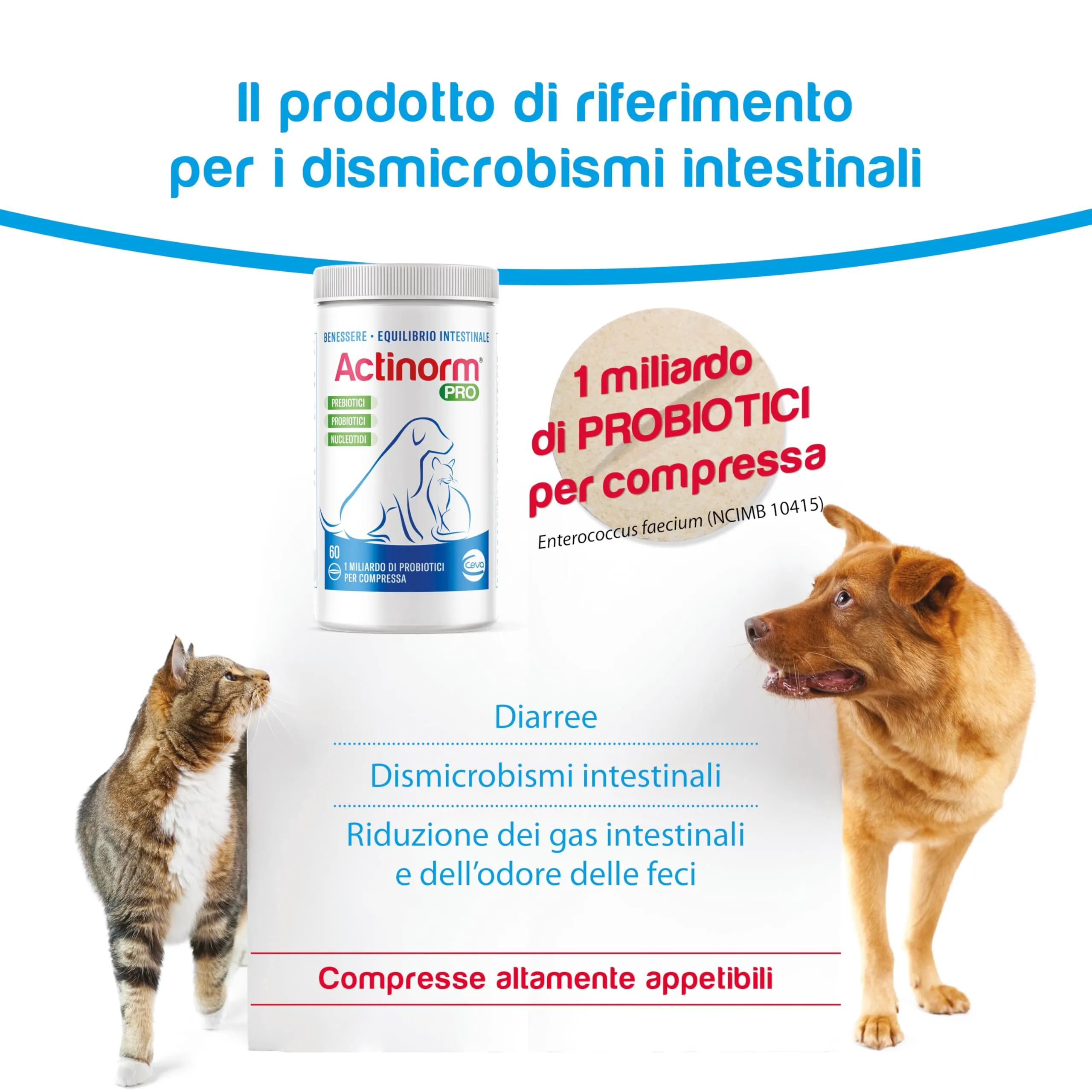 Actinorm Pro - Bioregolatore naturale della funzionalità intestinale per cani e gatti, 60 Compresse - immagine 3
