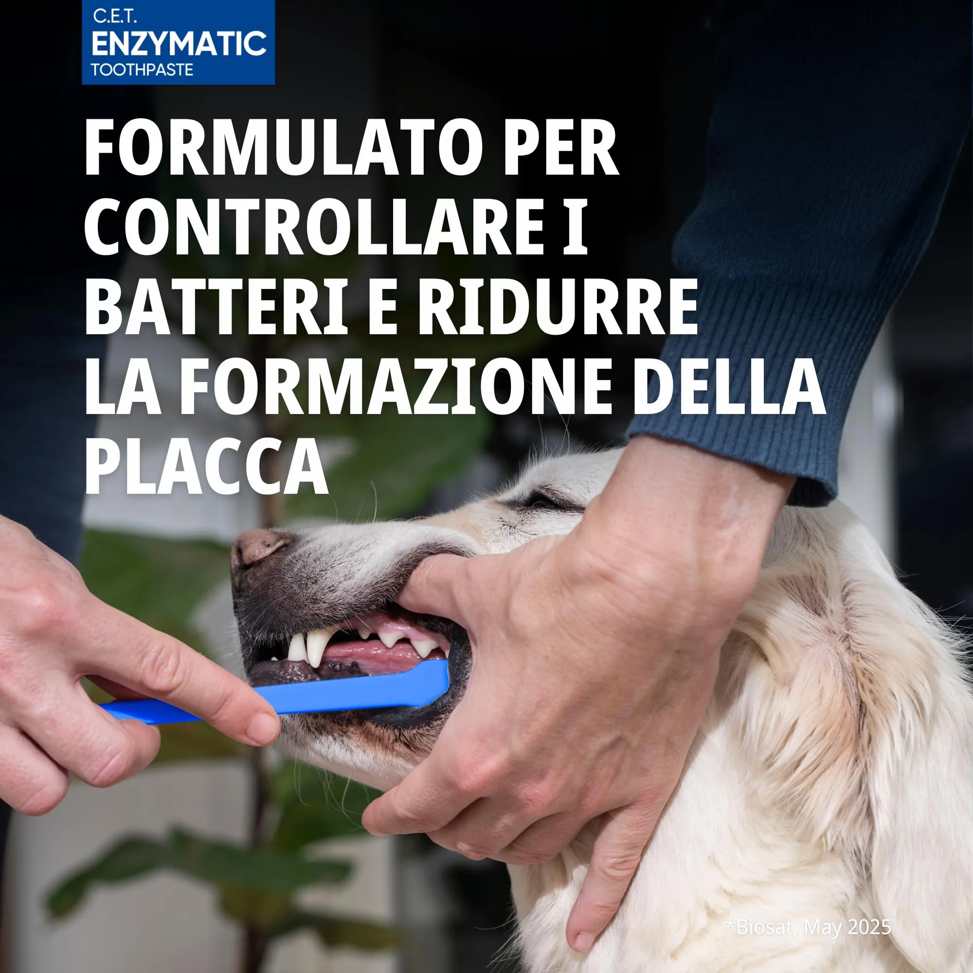 Virbac Dentifricio Enzimatico per Cani e Gatti - Dentifricio per Cani e Gatti per la Rimozione di Placca e Tartaro e Rinfrescatore di Alito per Animali Domestici - 70g - immagine 3