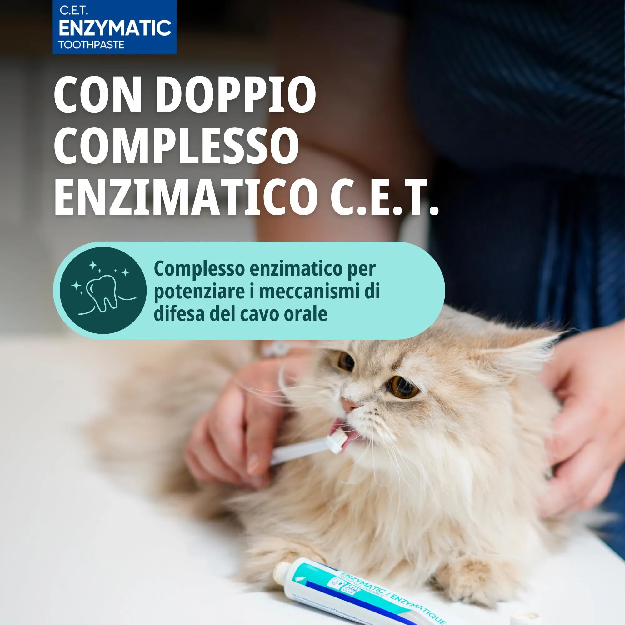 Virbac Dentifricio Enzimatico per Cani e Gatti - Dentifricio per Cani e Gatti per la Rimozione di Placca e Tartaro e Rinfrescatore di Alito per Animali Domestici - 70g - immagine 4