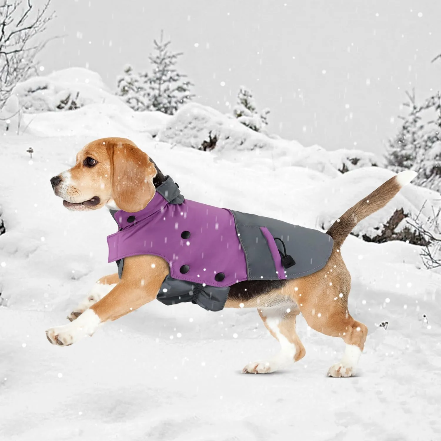 PETLOFT Giacca Invernale per Cani, Resistente Cappotto Invernale Riflettente con Fodera in pile Rimovibile - immagine 7