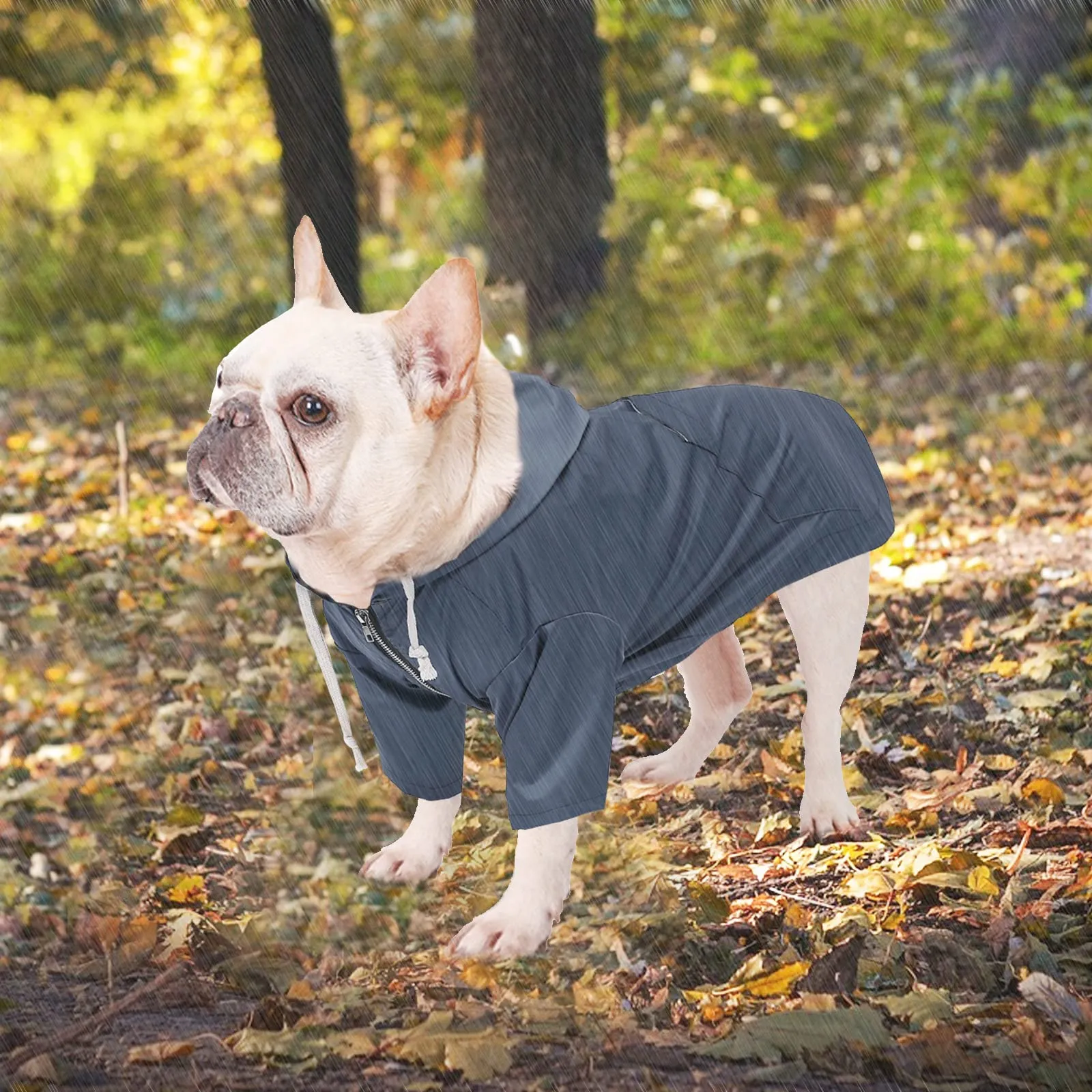 MOREZI impermeabile doppio impermeabile per cani, con fori e tasche per cintura di sicurezza, cerniera e cappuccio, adatto a cani di piccola e media taglia-Blu-XL - immagine 2