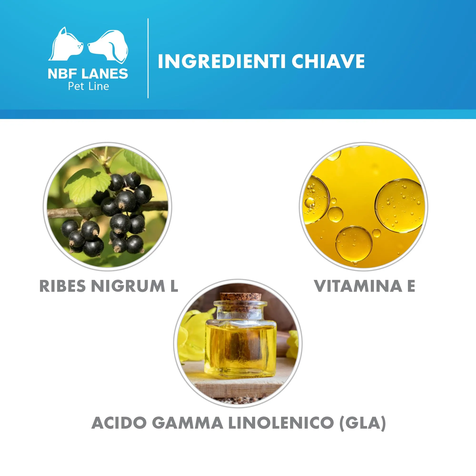 NBF Lanes | Ribes Pet 80 Cane e Gatto, Gocce Appetibili 25 ml, per la Normale Funzione della Barriera Cutanea - immagine 5