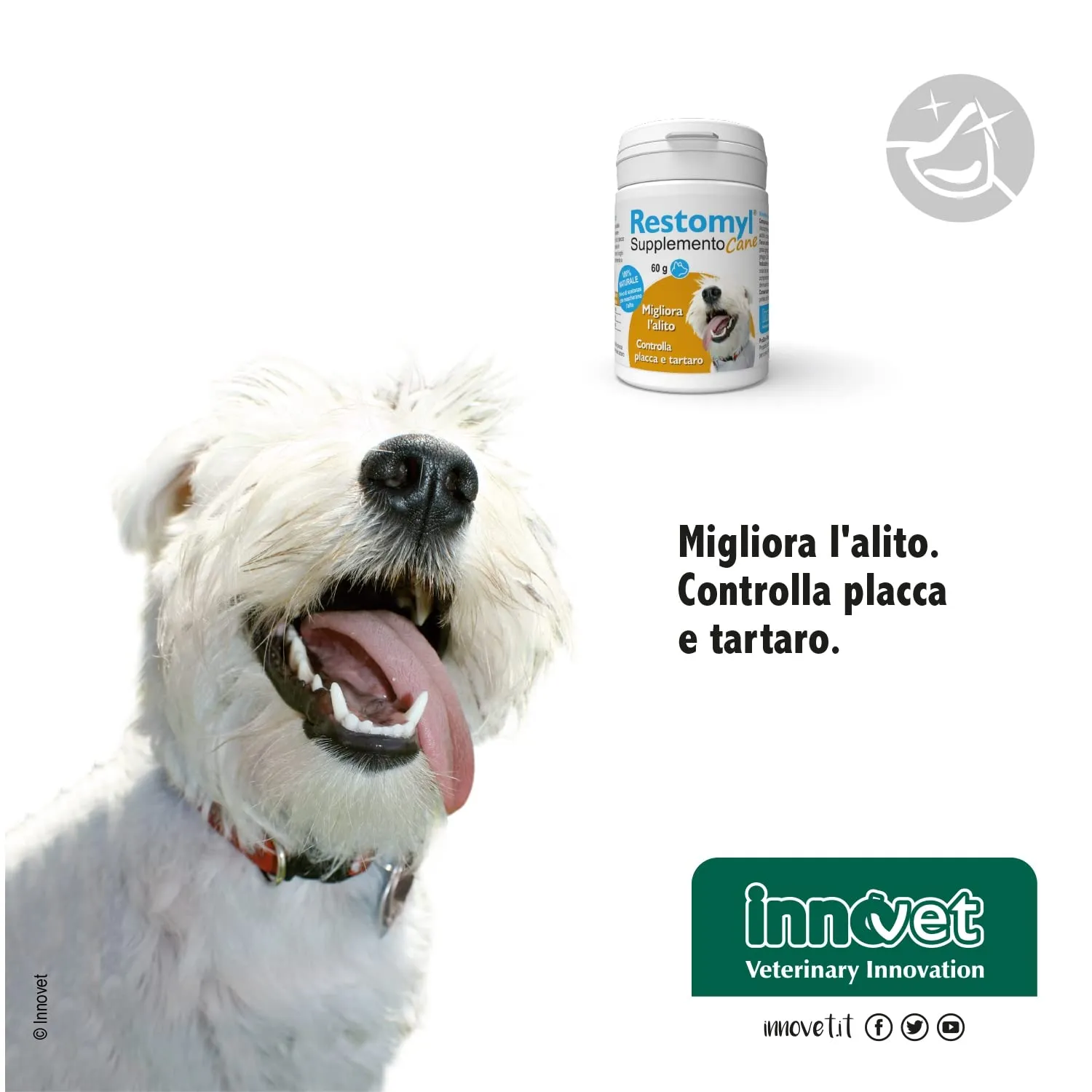 Restomyl Supplemento, Migliora l'alito. Controlla e previene la Placca e il Tartaro dei Cani - Flacone da 60g - immagine 5