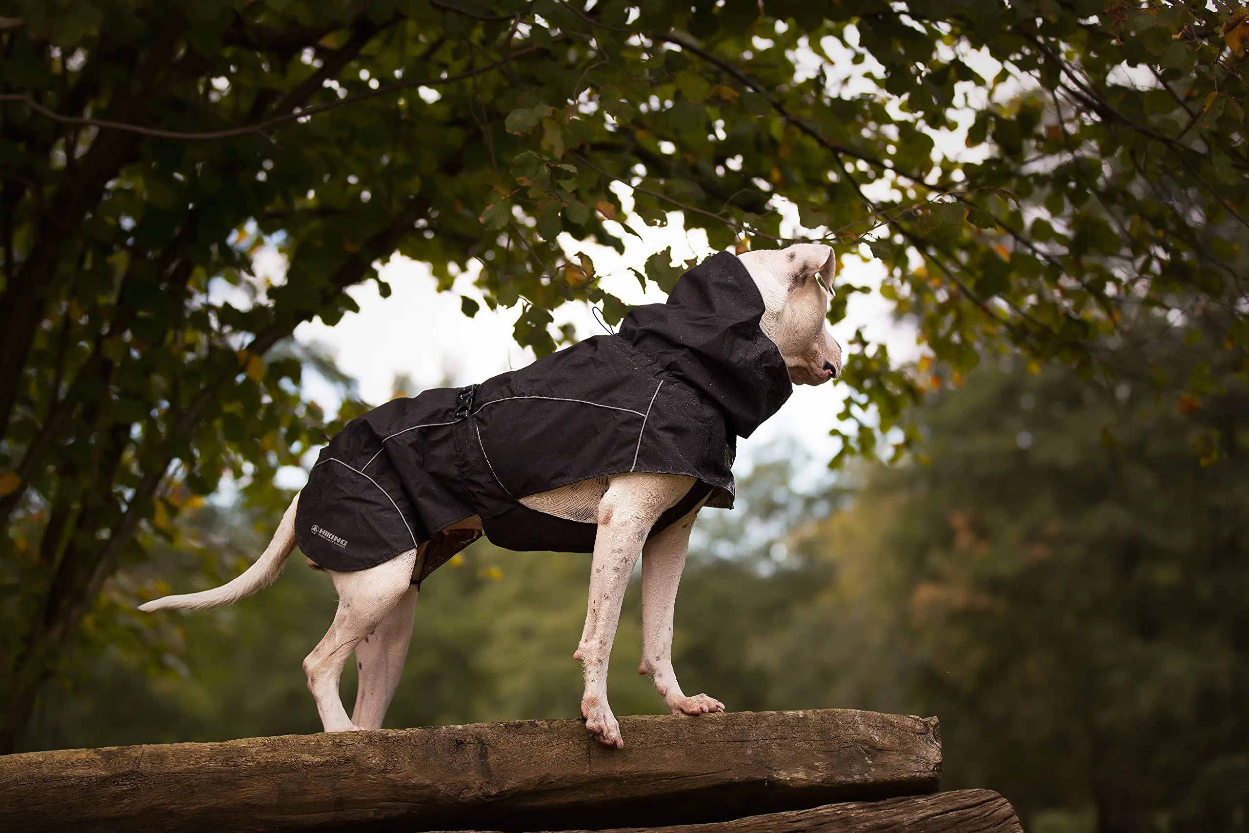 Croci Hiking Cappotto Per Cani, Impermeabile Per Cani, Makalu, Fodera Termoregolante, Nero, 40 cm - immagine 2
