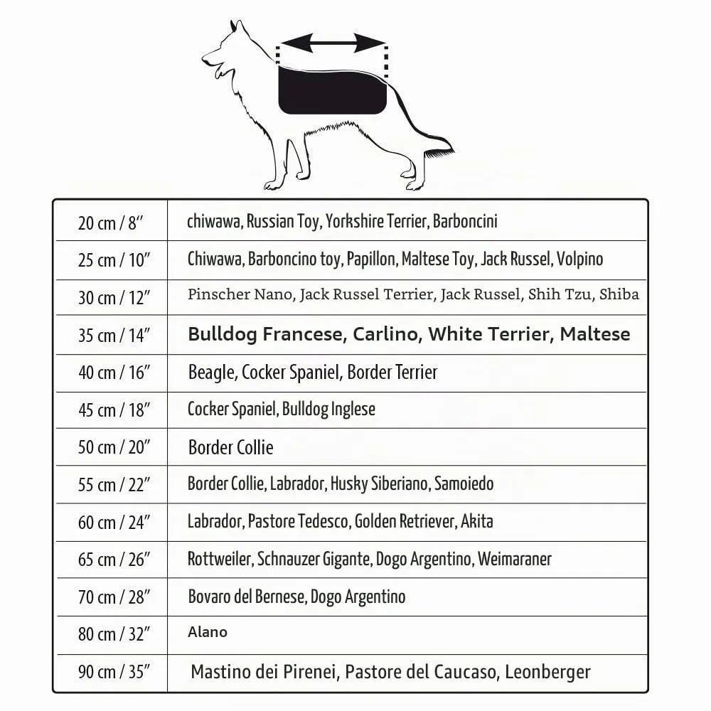 Croci Hiking Cappotto Per Cani, Impermeabile Per Cani, Makalu, Fodera Termoregolante, Nero/Salvia, 80 cm - immagine 3