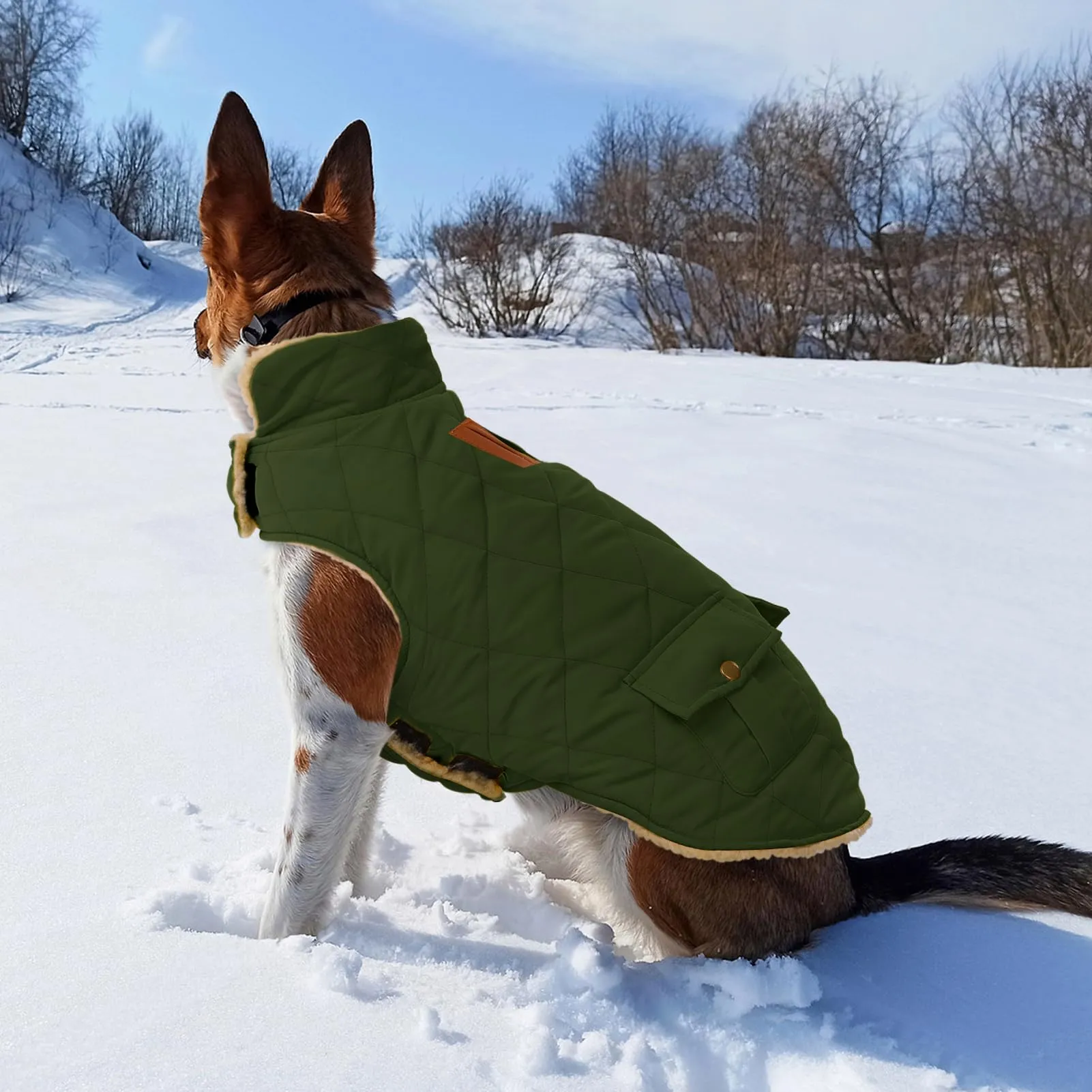CITÉTOILE Gilet Termico Invernale per Cani in Lana Spessa Verde XS - immagine 6