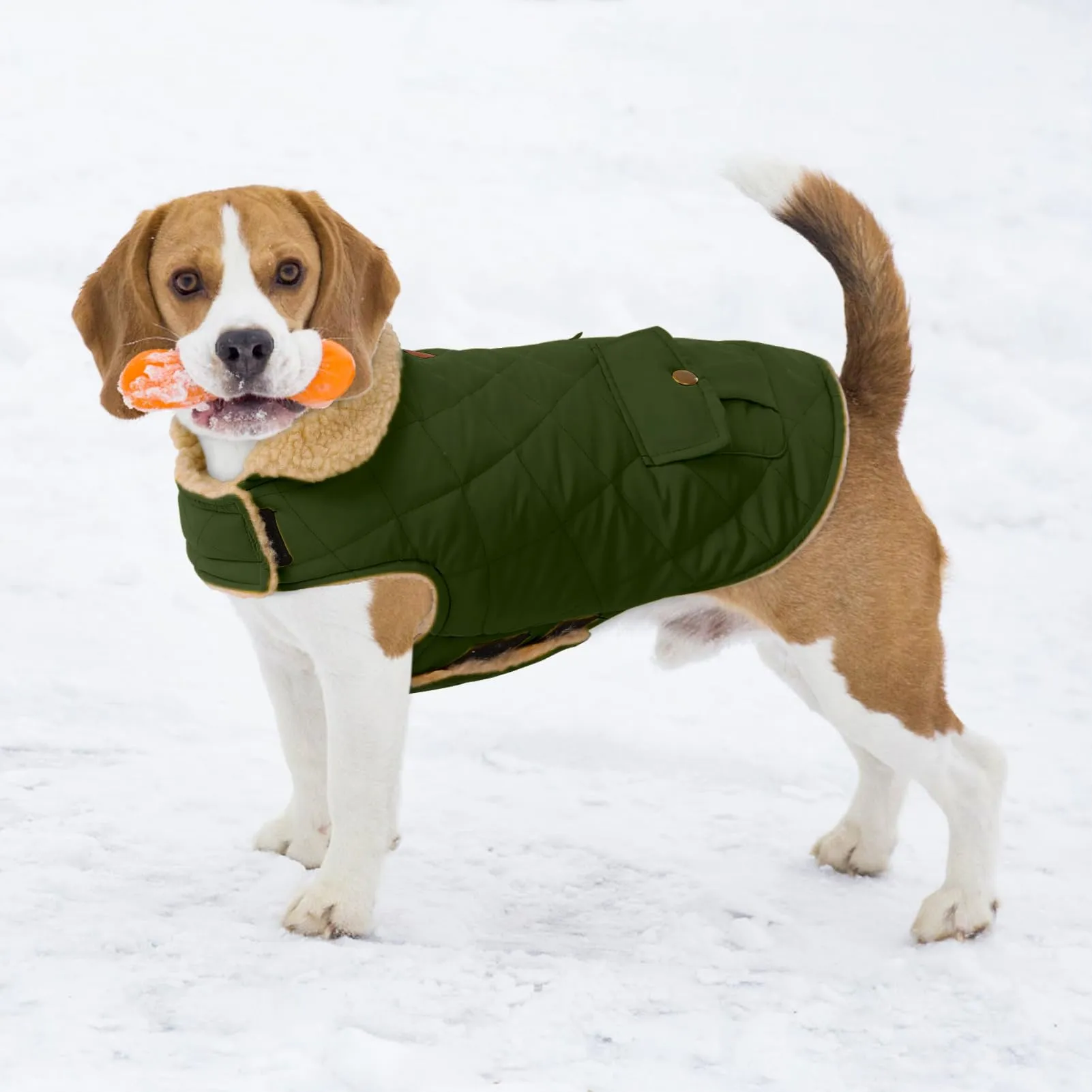 CITÉTOILE Gilet Termico Invernale per Cani in Lana Spessa Verde S - immagine 6