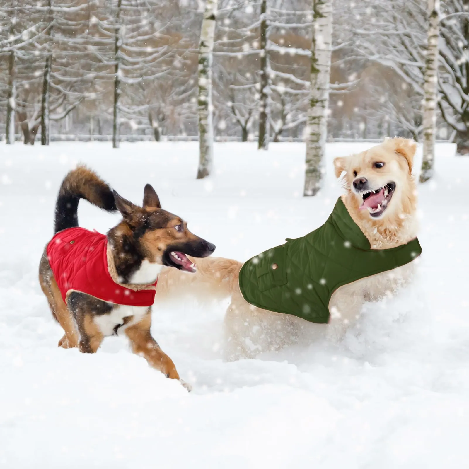 CITÉTOILE Gilet Termico Invernale per Cani in Lana Spessa Verde L - immagine 7