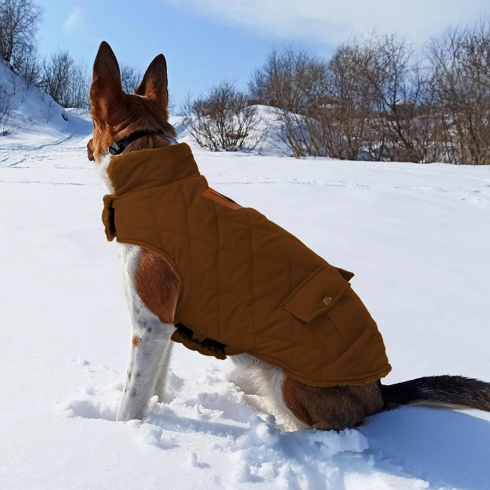 CITÉTOILE Gilet Termico Invernale per Cani in Lana Spessa Marrone M - immagine 5