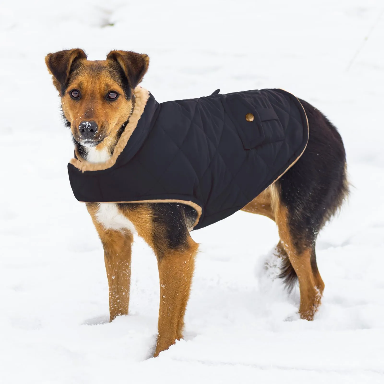 CITÉTOILE Gilet Termico Invernale per Cani in Lana Spessa Blu M - immagine 6