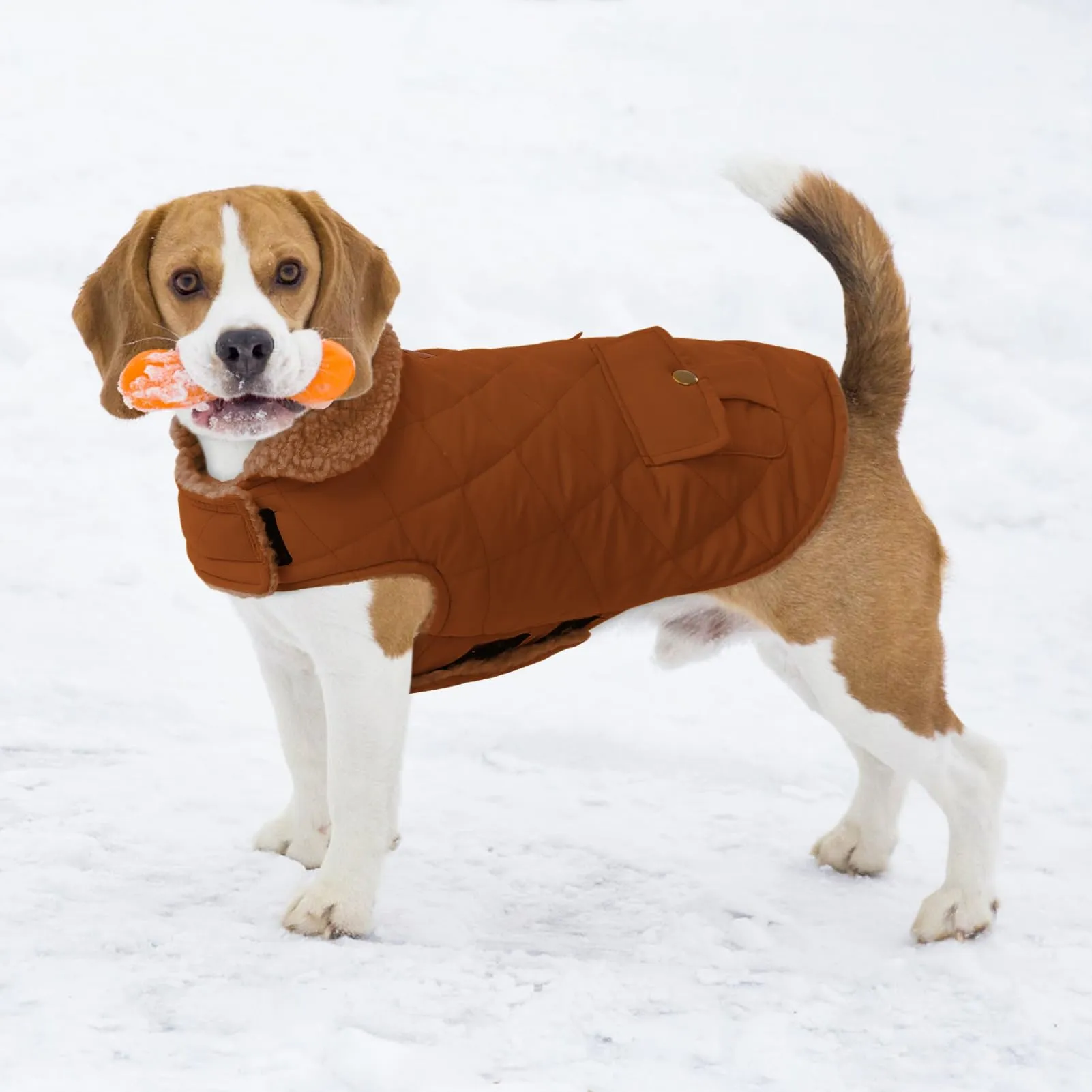 CITÉTOILE Gilet Termico Invernale per Cani in Lana Spessa Marrone XS - immagine 6