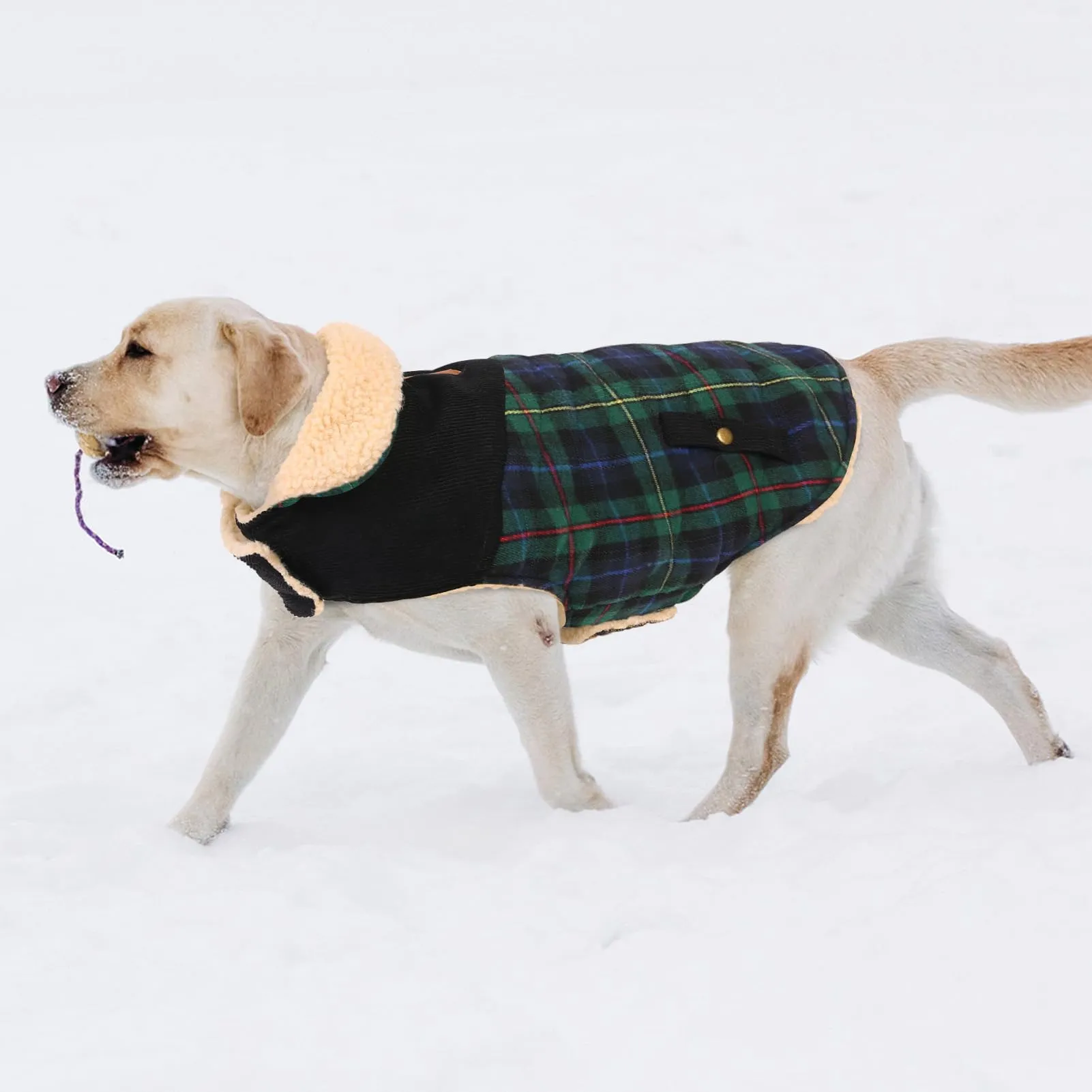 CITÉTOILE Cappotto Invernale per Cani in Lana Spessa Verde XS - immagine 7