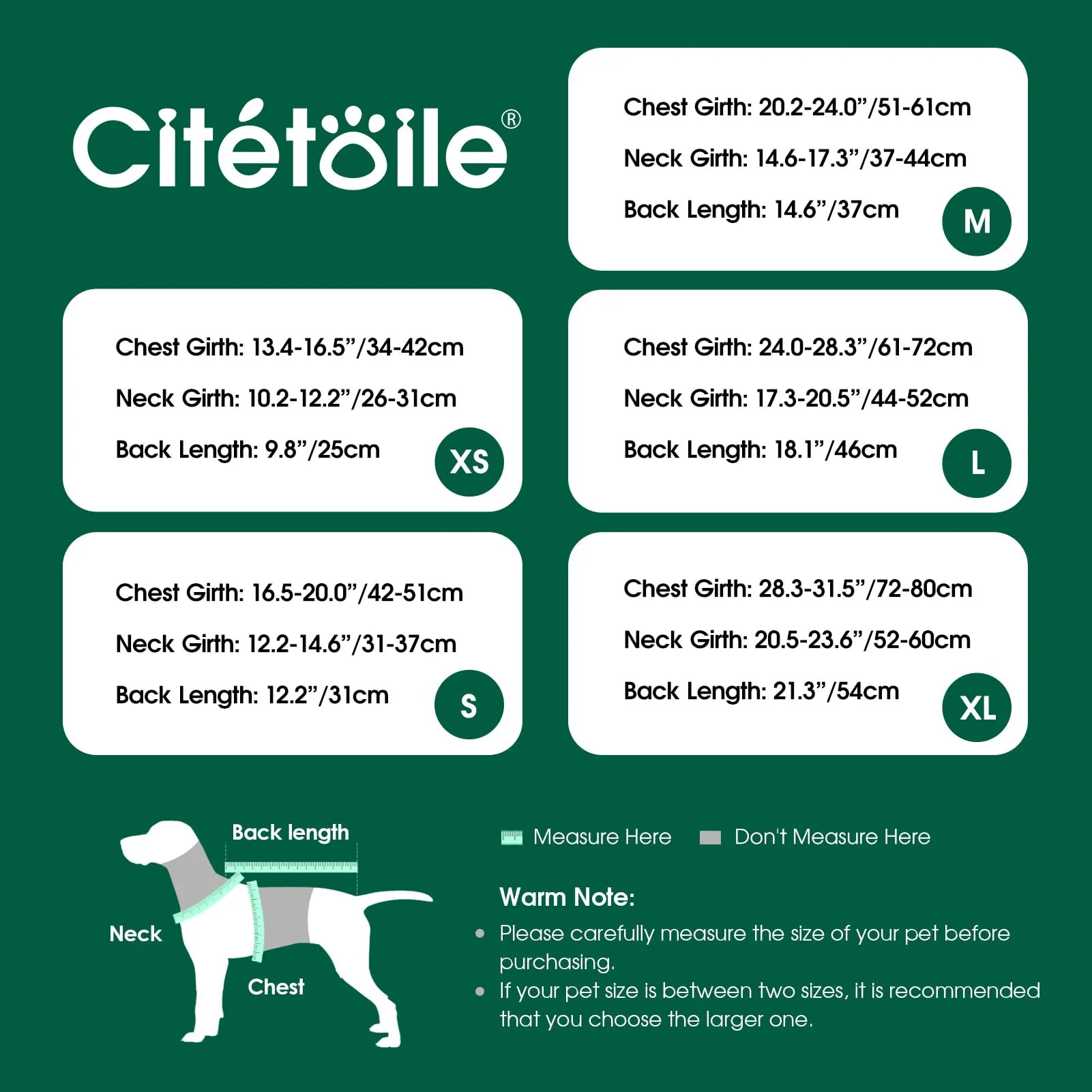 CITÉTOILE Cappotto Invernale per Cani in Lana Spessa Verde S - immagine 4