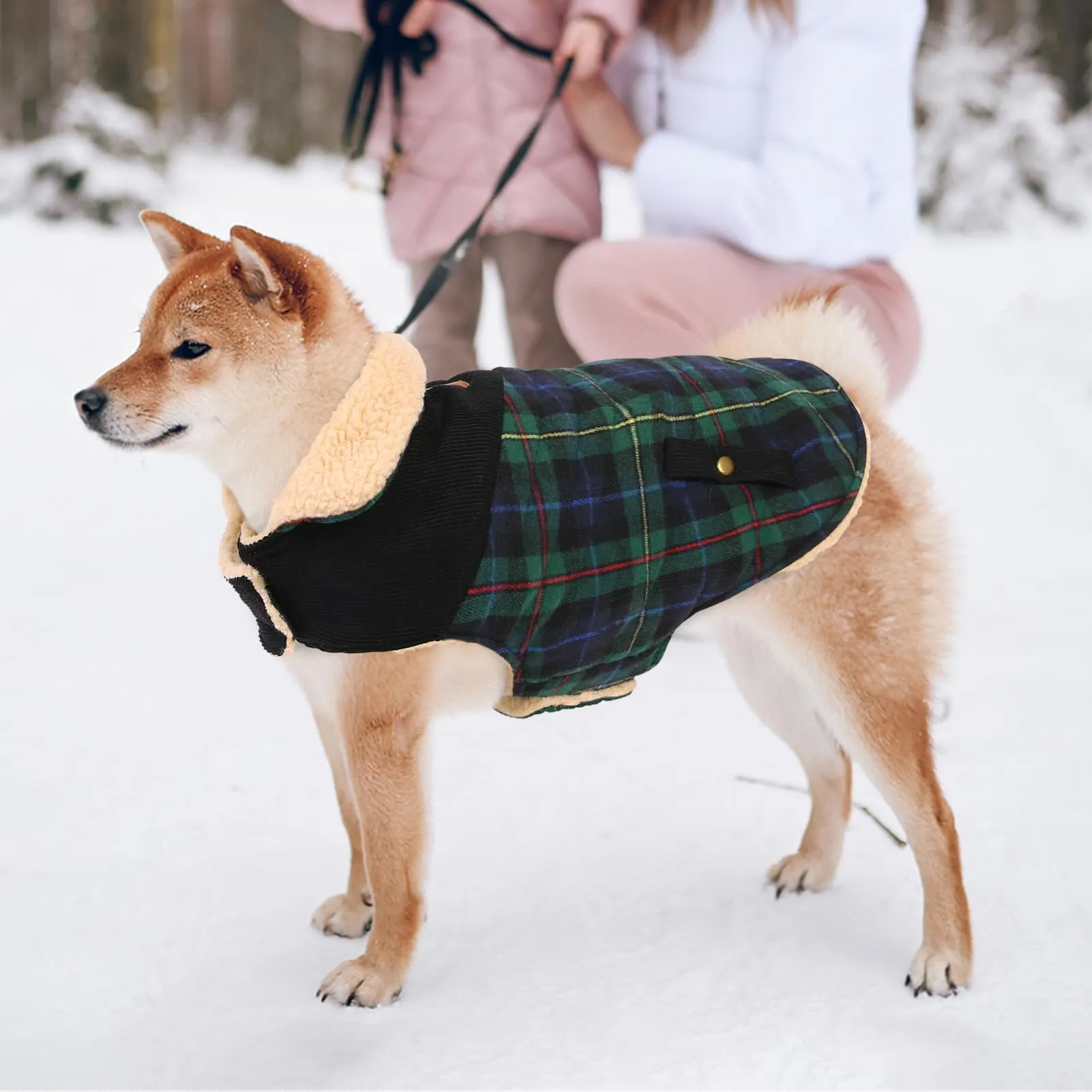 CITÉTOILE Cappotto Invernale per Cani in Lana Spessa Verde M - immagine 6