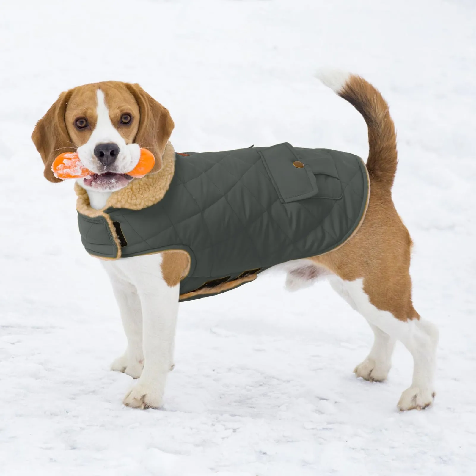 CITÉTOILE Gilet Termico Invernale per Cani in Lana Spessa Grigio L - immagine 5