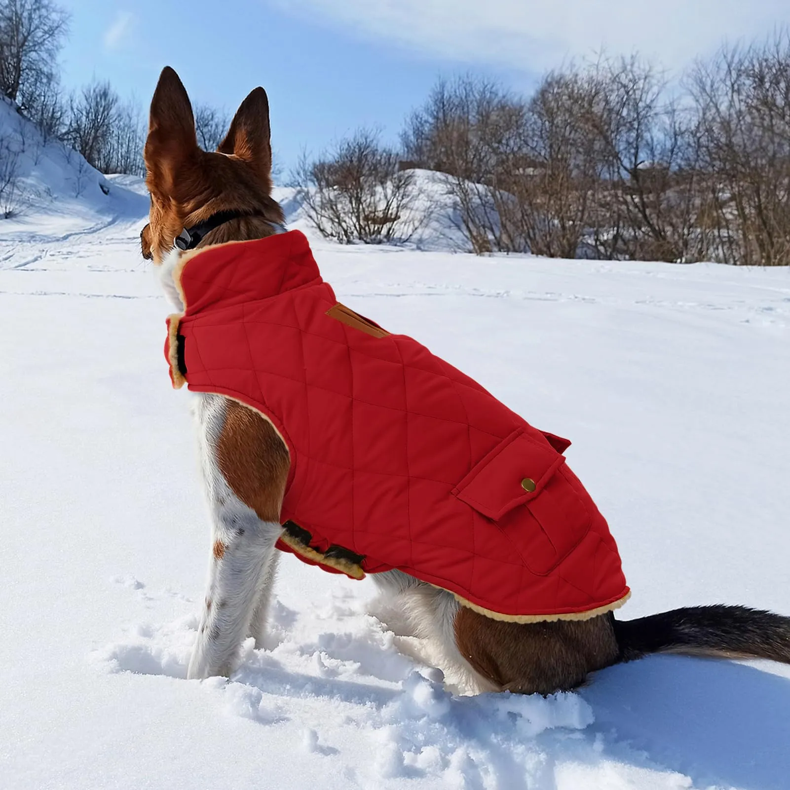 CITÉTOILE Gilet Termico Invernale per Cani in Lana Spessa Rosso S - immagine 5