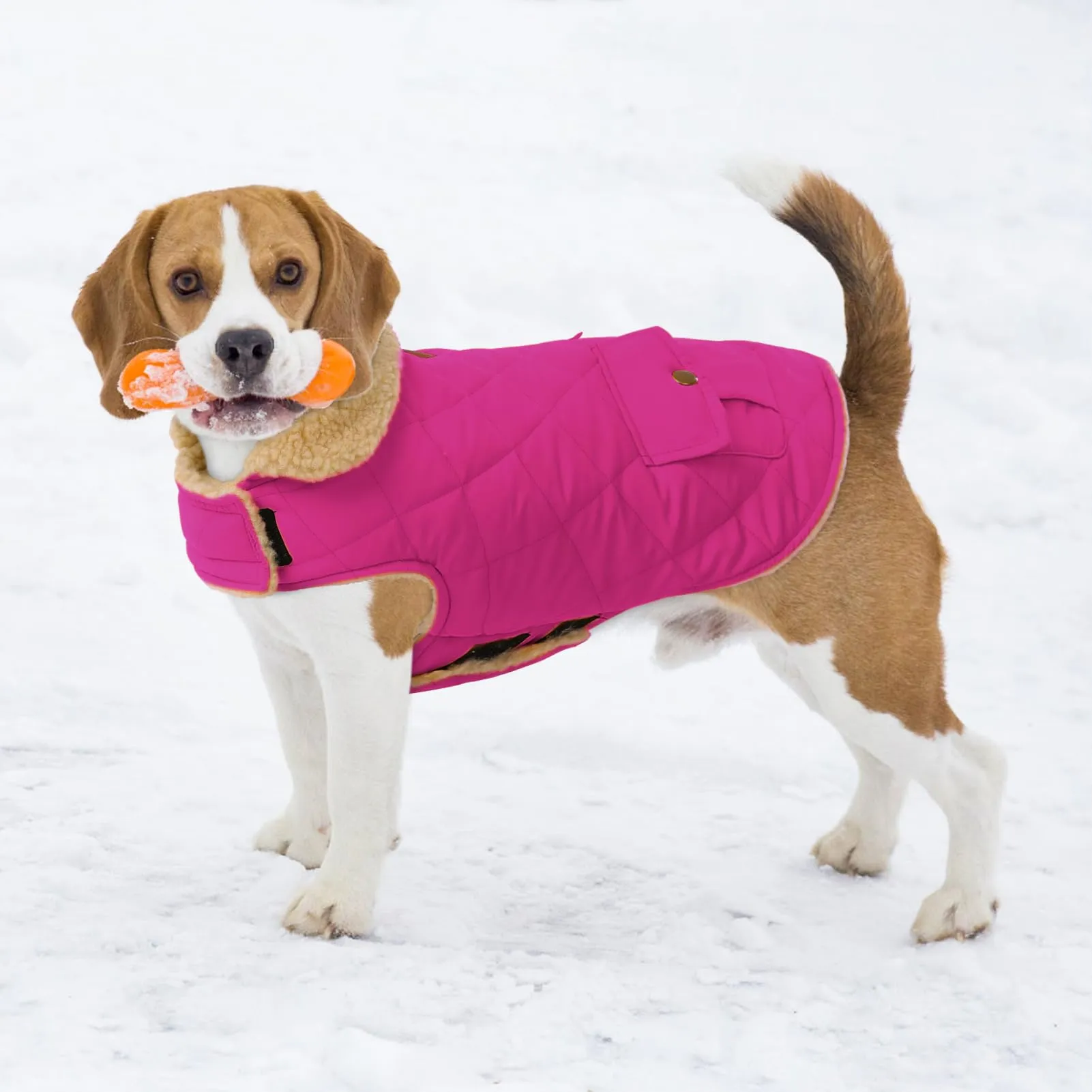 CITÉTOILE Gilet Termico Invernale per Cani in Lana Spessa Rosa L - immagine 5
