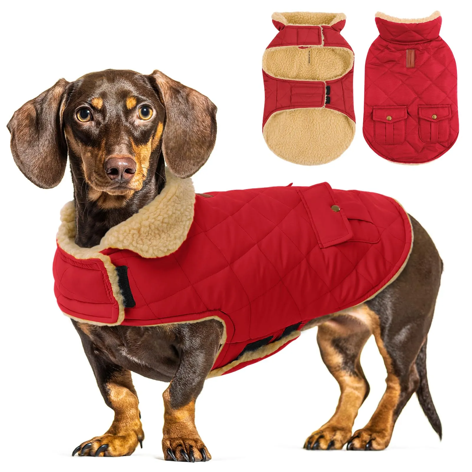 CITÉTOILE Gilet Termico Invernale per Cani in Lana Spessa Rosso L - immagine 1