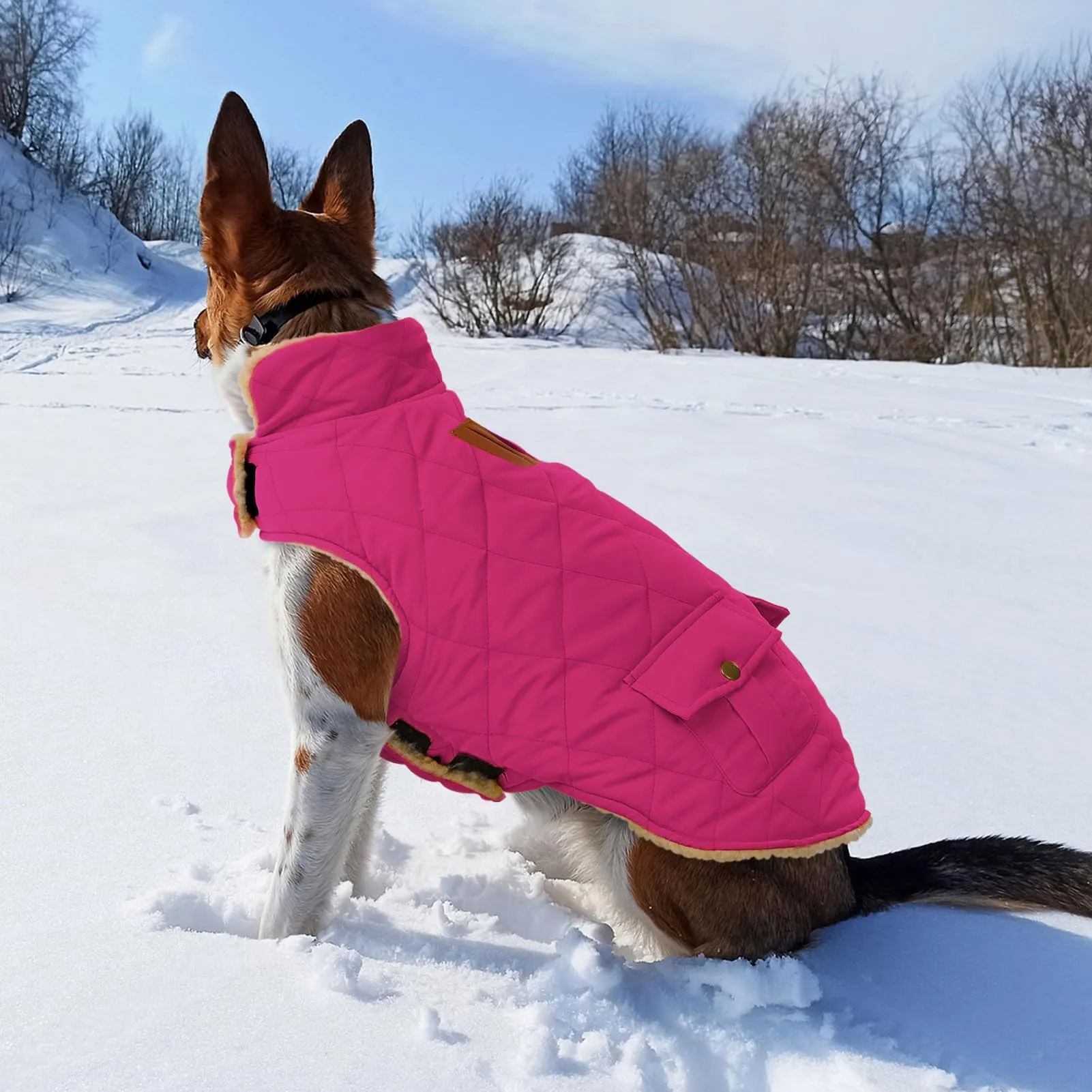 CITÉTOILE Gilet Termico Invernale per Cani in Lana Spessa Rosa XS - immagine 6