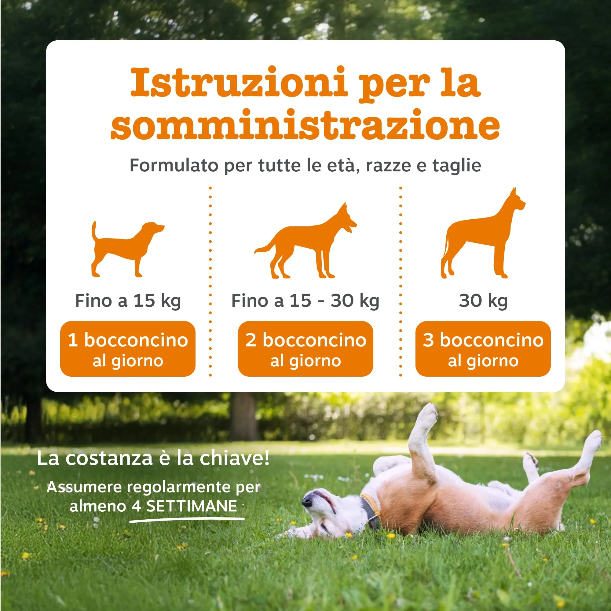 Zesty Paws Prebiotici, Probiotici e Postbiotici per Cani – 90 Bocconcini - immagine 5